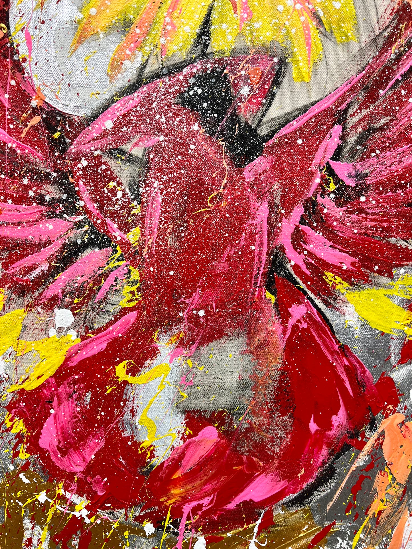 Rise Free / Flying Cardinal / November 2023