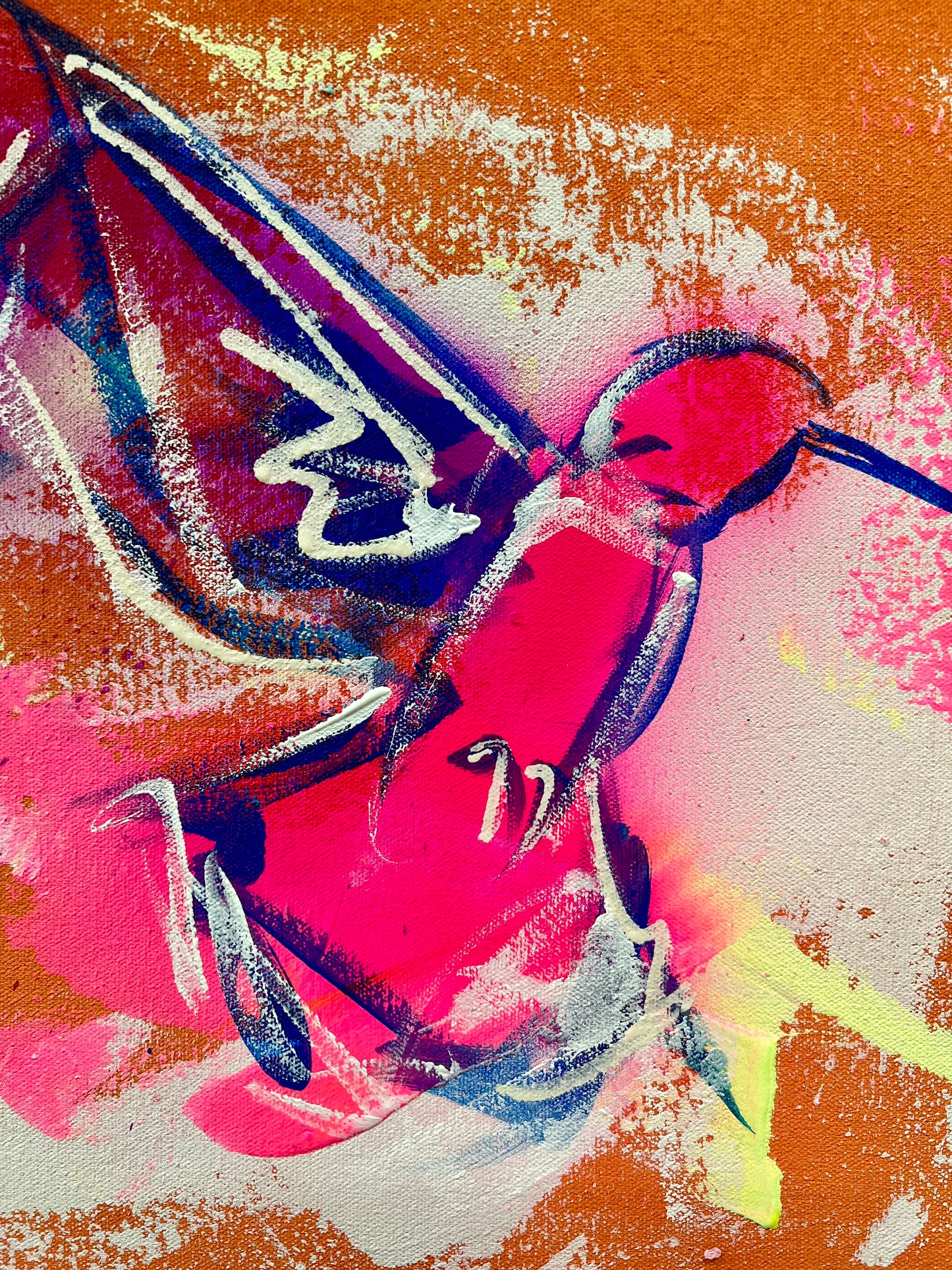 Beautiful and Free / Hummingbirds / November 2023