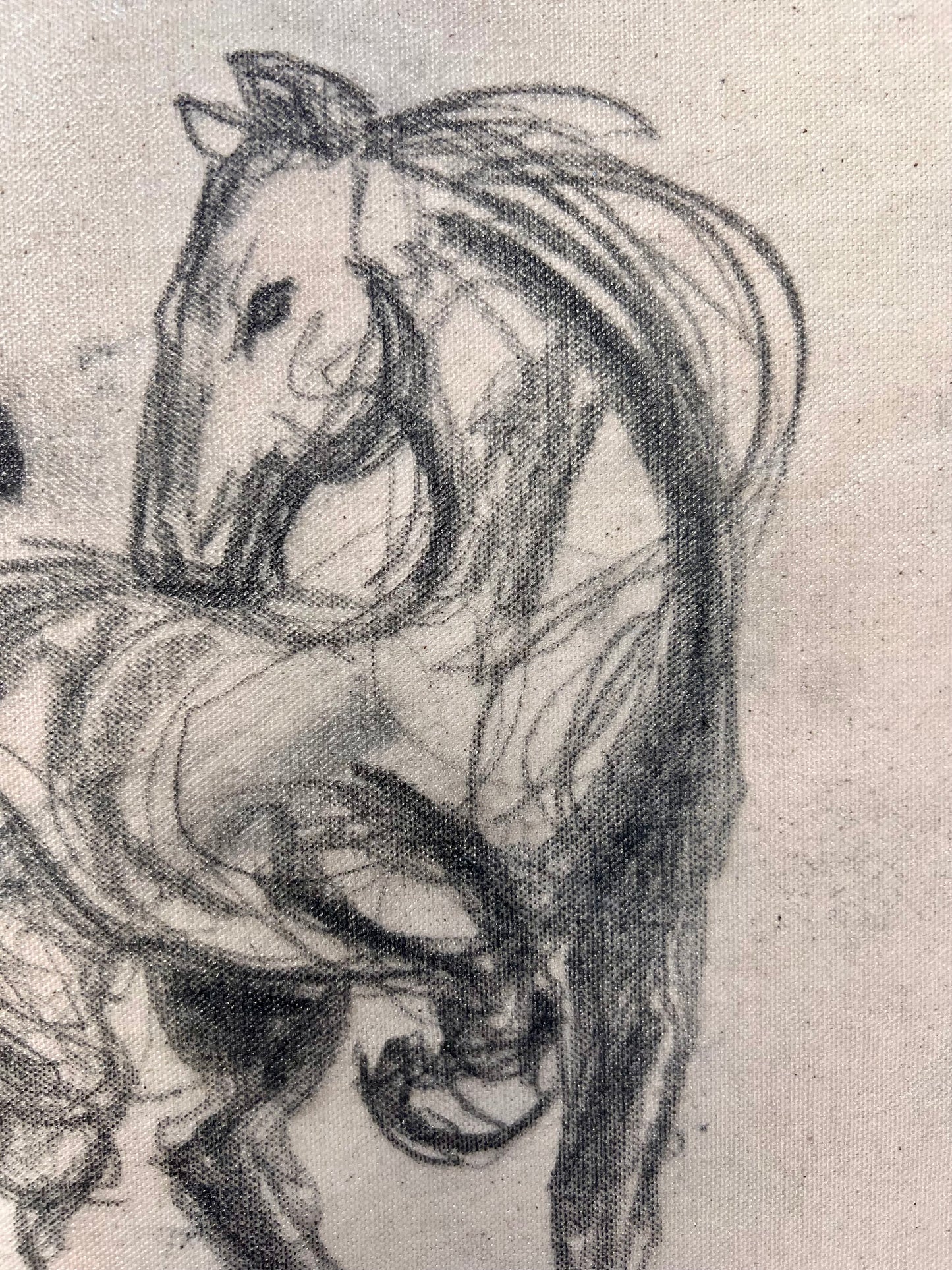 Beautiful and Free / Horse Sketch / Sunday Collection / September 2025
