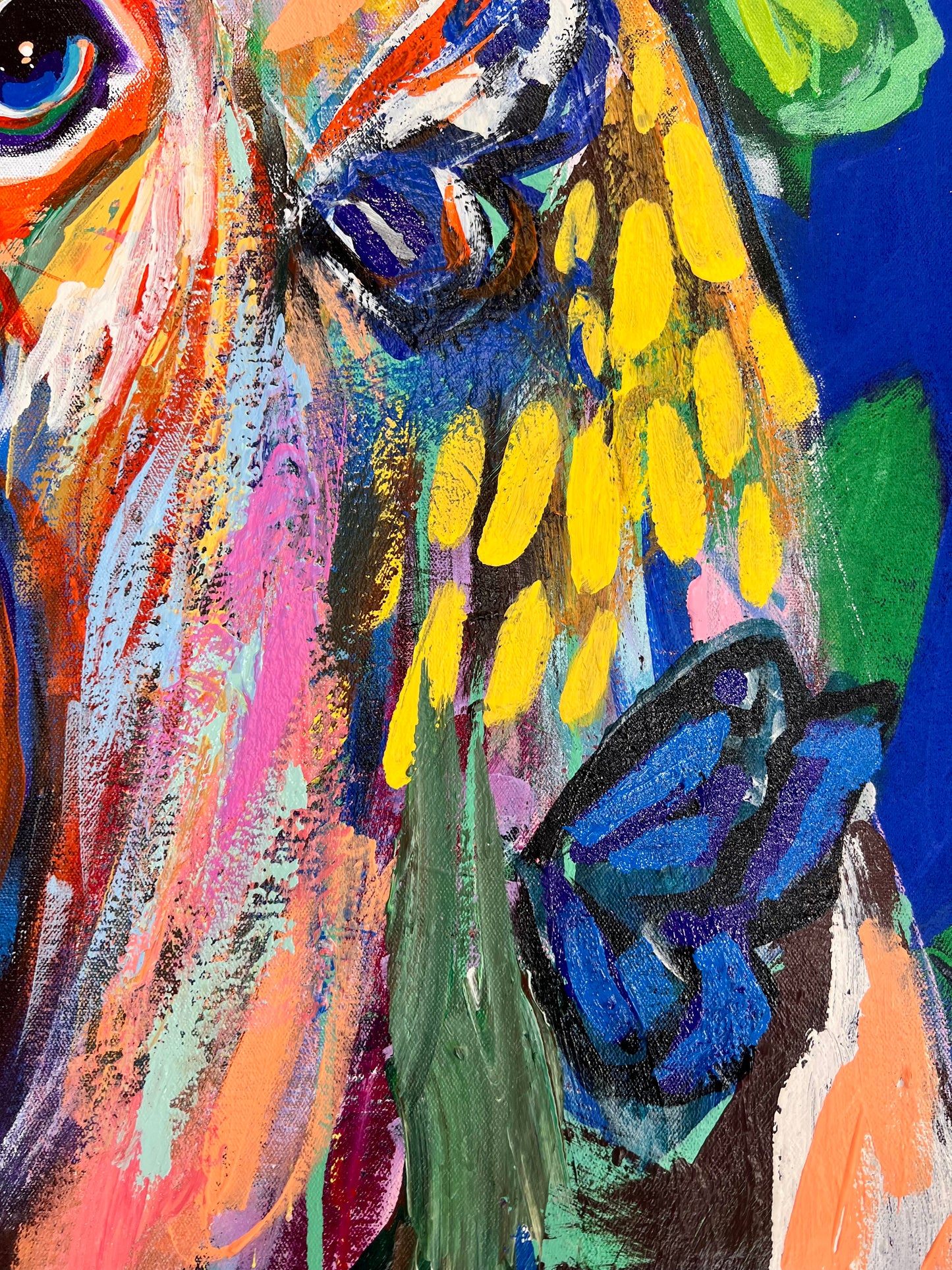 Into Wisdom / Bear / February 2025