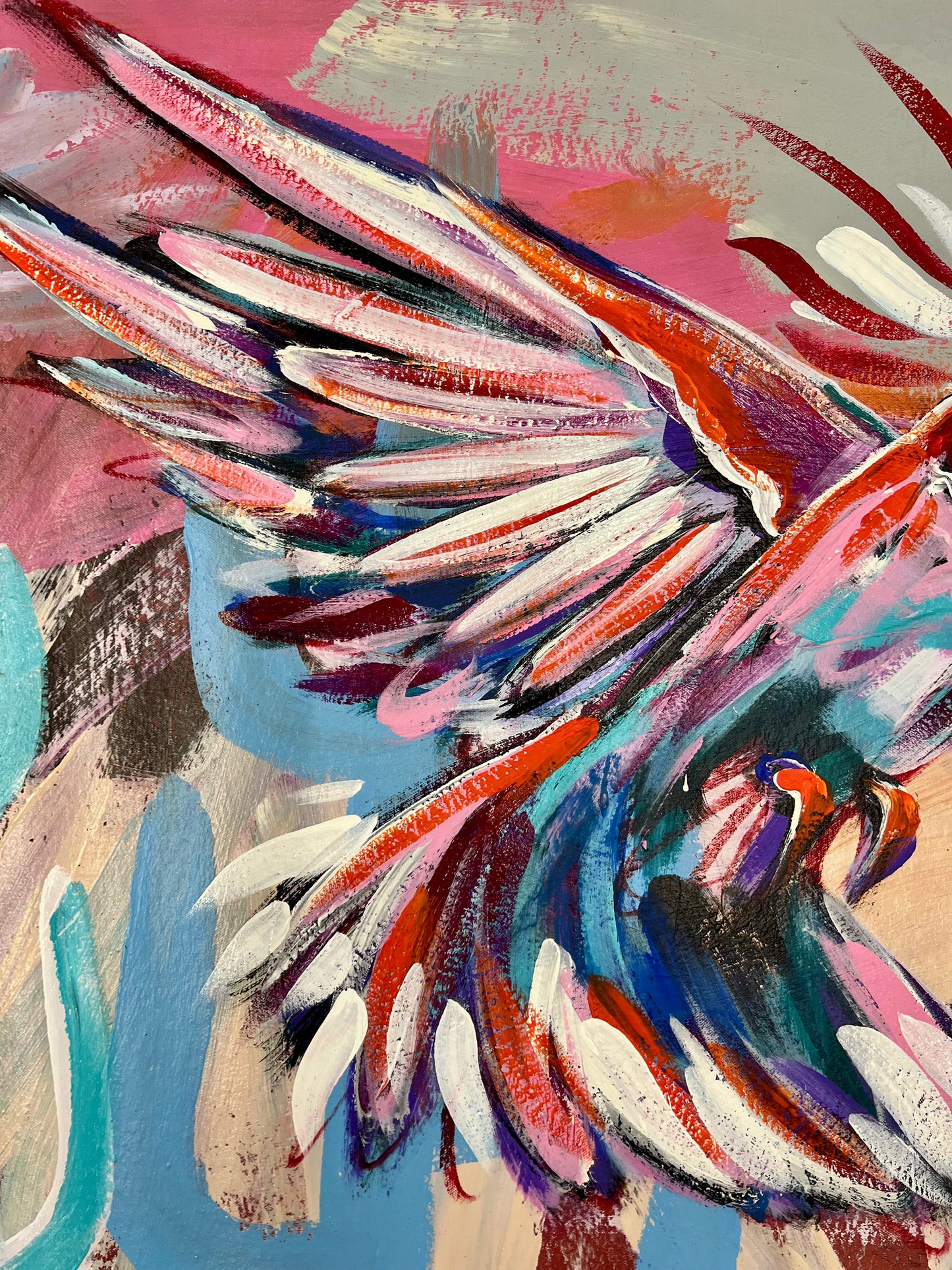 Tasted as Sweetness / Cactus Hummingbird / Winter 2025