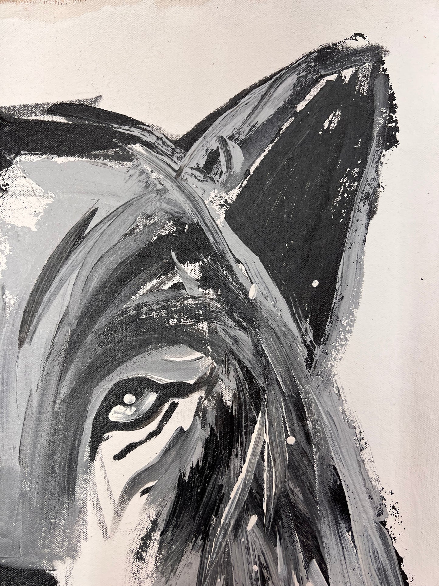 Black & White Wolf / Wednesday Refresh / August 2025
