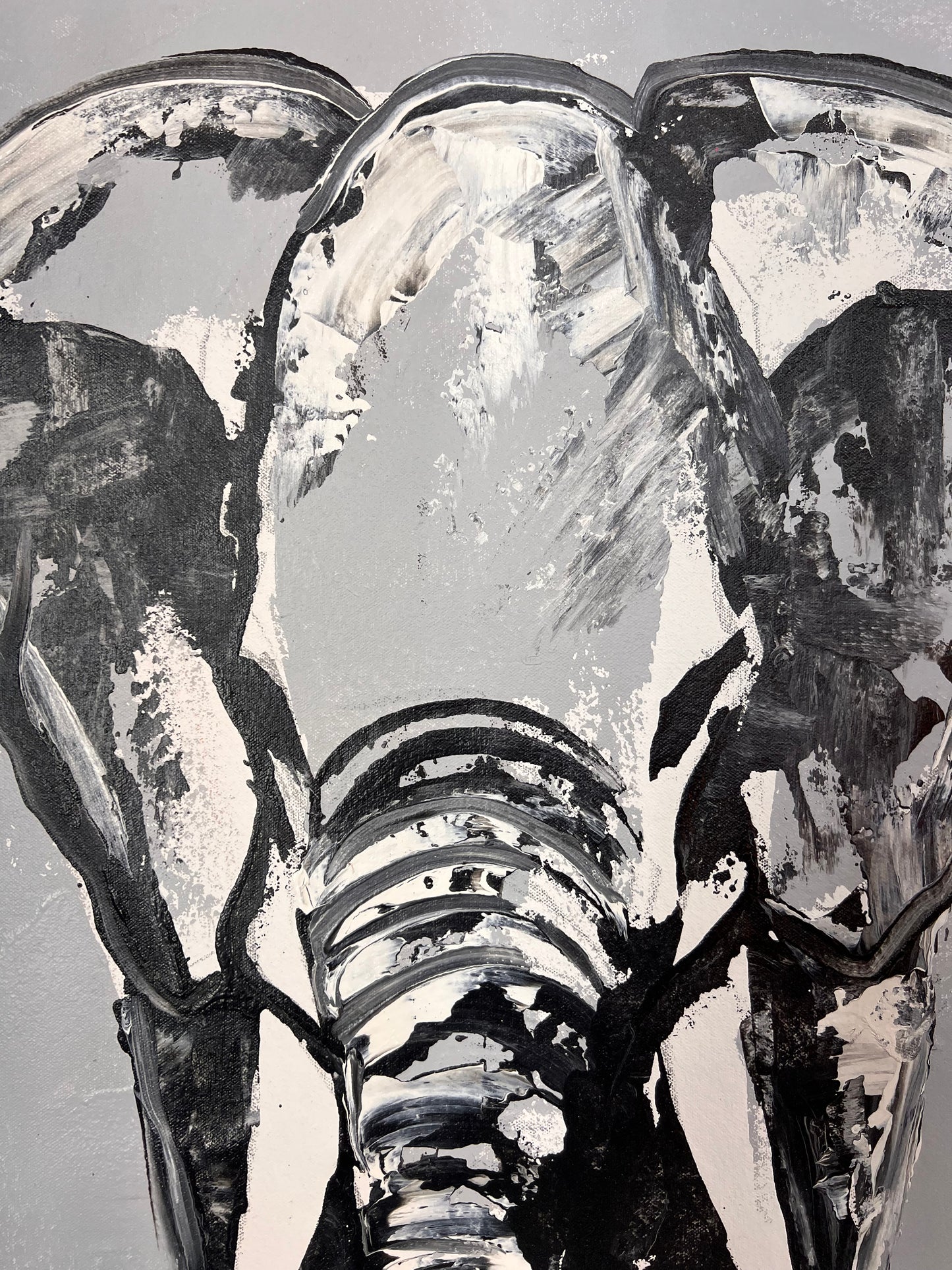 Black & White Elephant / Wednesday Refresh / August 2025