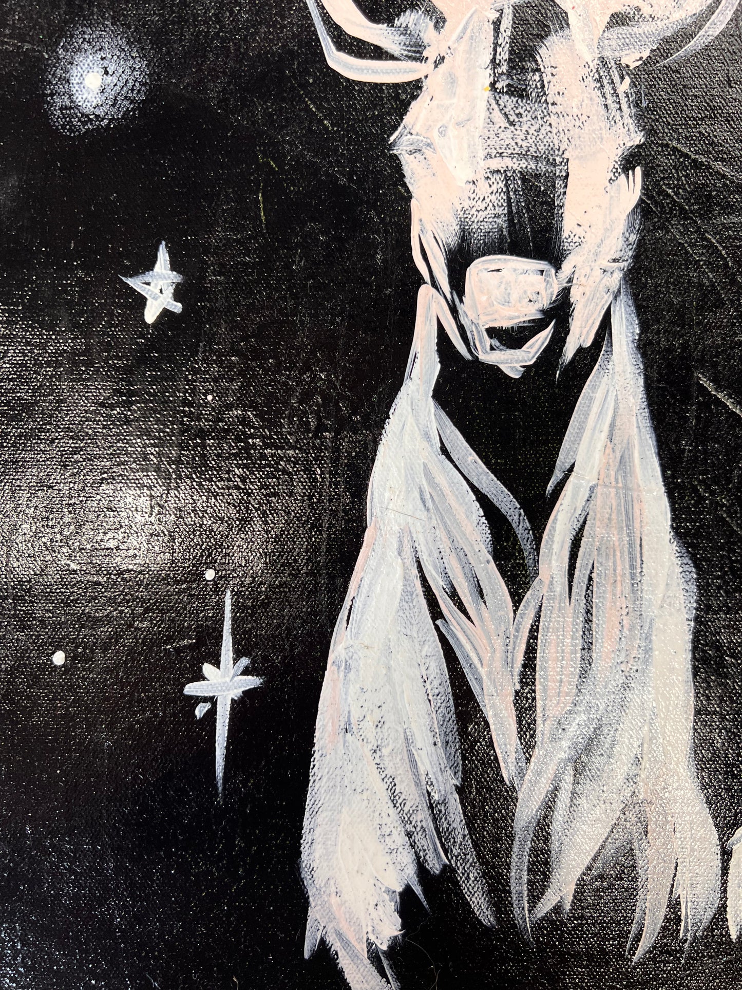 Beautiful and Free / Black & White Stag / Wednesday Refresh / September 2025