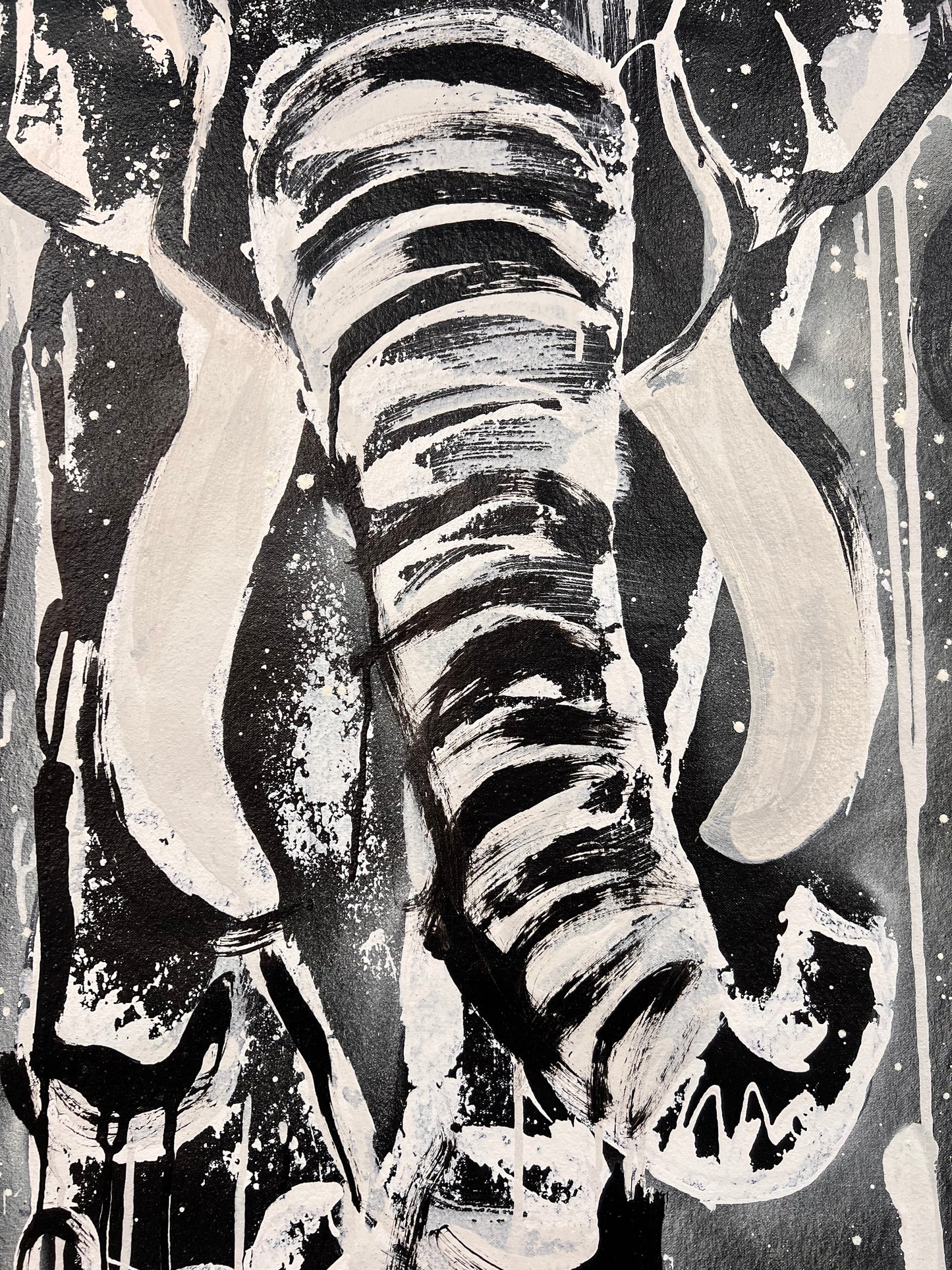 Dear Childhood Best Friends / Black & White Elephant / Sunday Collection / July 2025