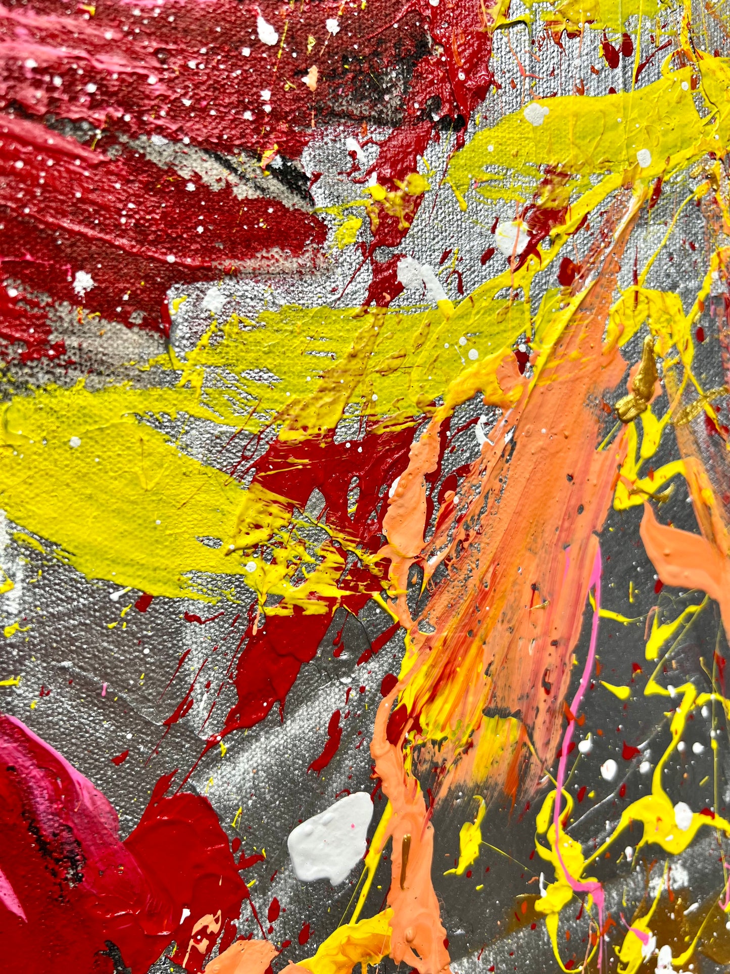 Rise Free / Flying Cardinal / November 2023