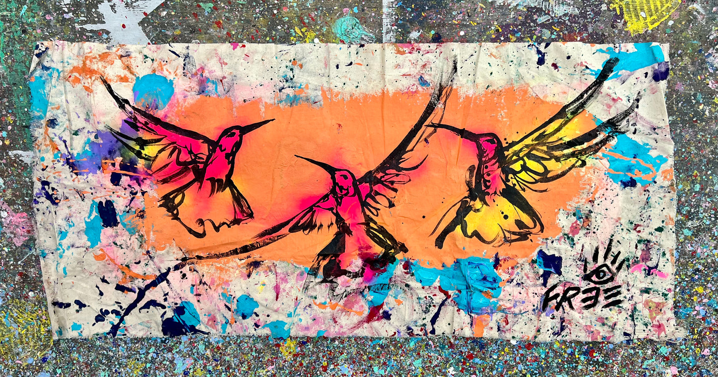 Sometimes Can Change / Hummingbirds / November 2023