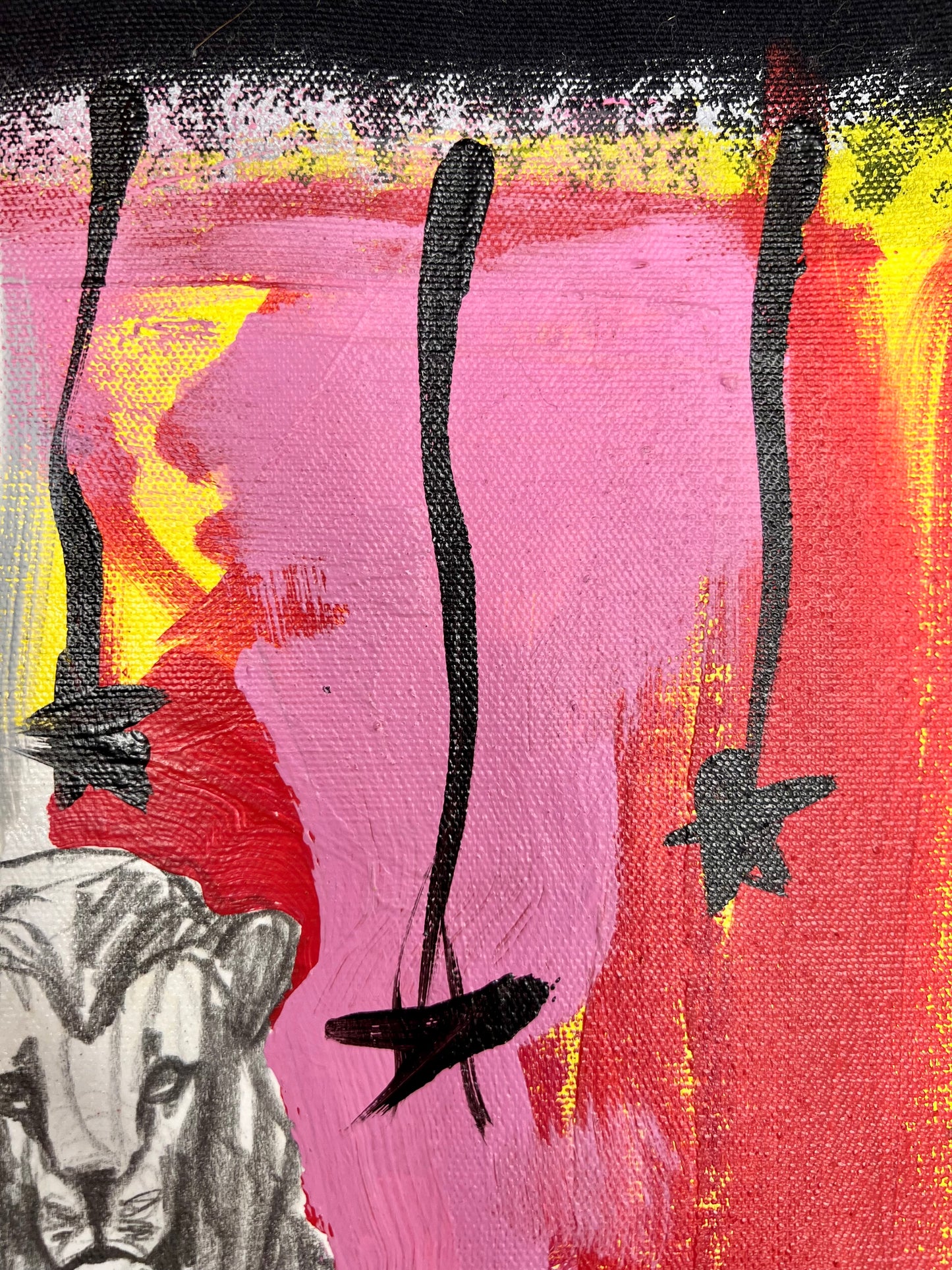 Amazing Things / Crouching Lion Collage / May 2025