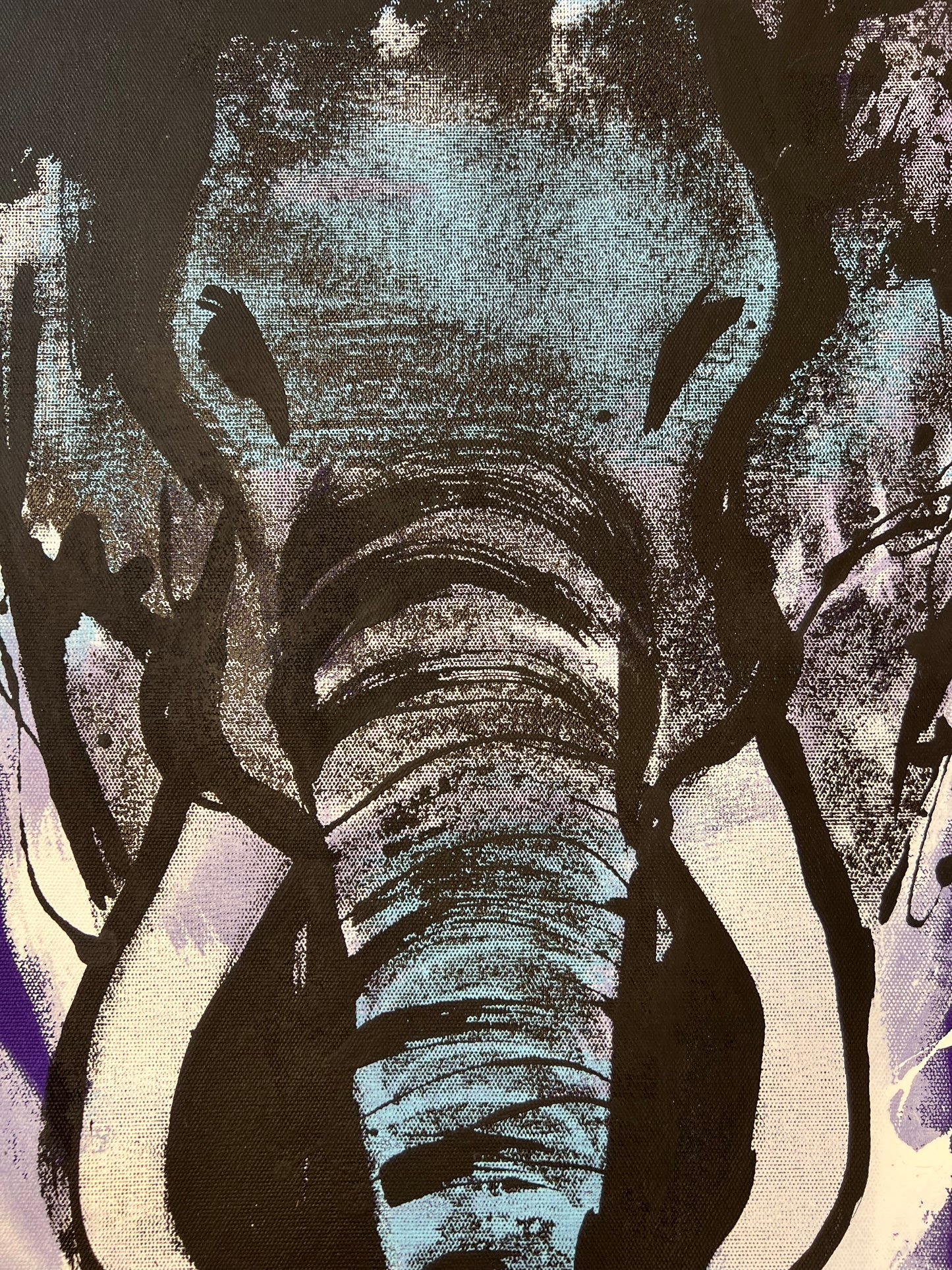 Life is Good / Screen Print Elephant / Sunday Collection / September 2025
