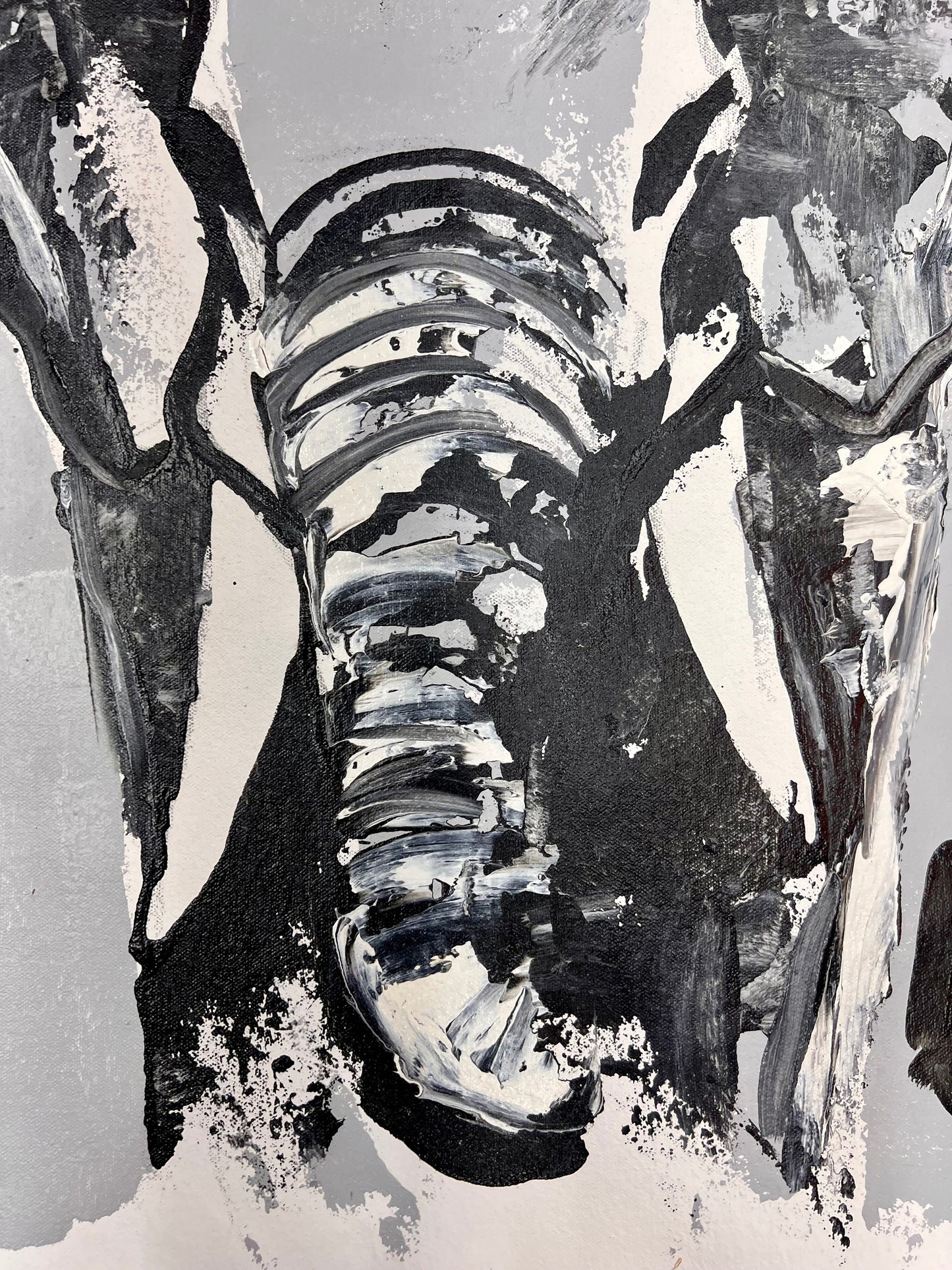 Black & White Elephant / Wednesday Refresh / August 2025