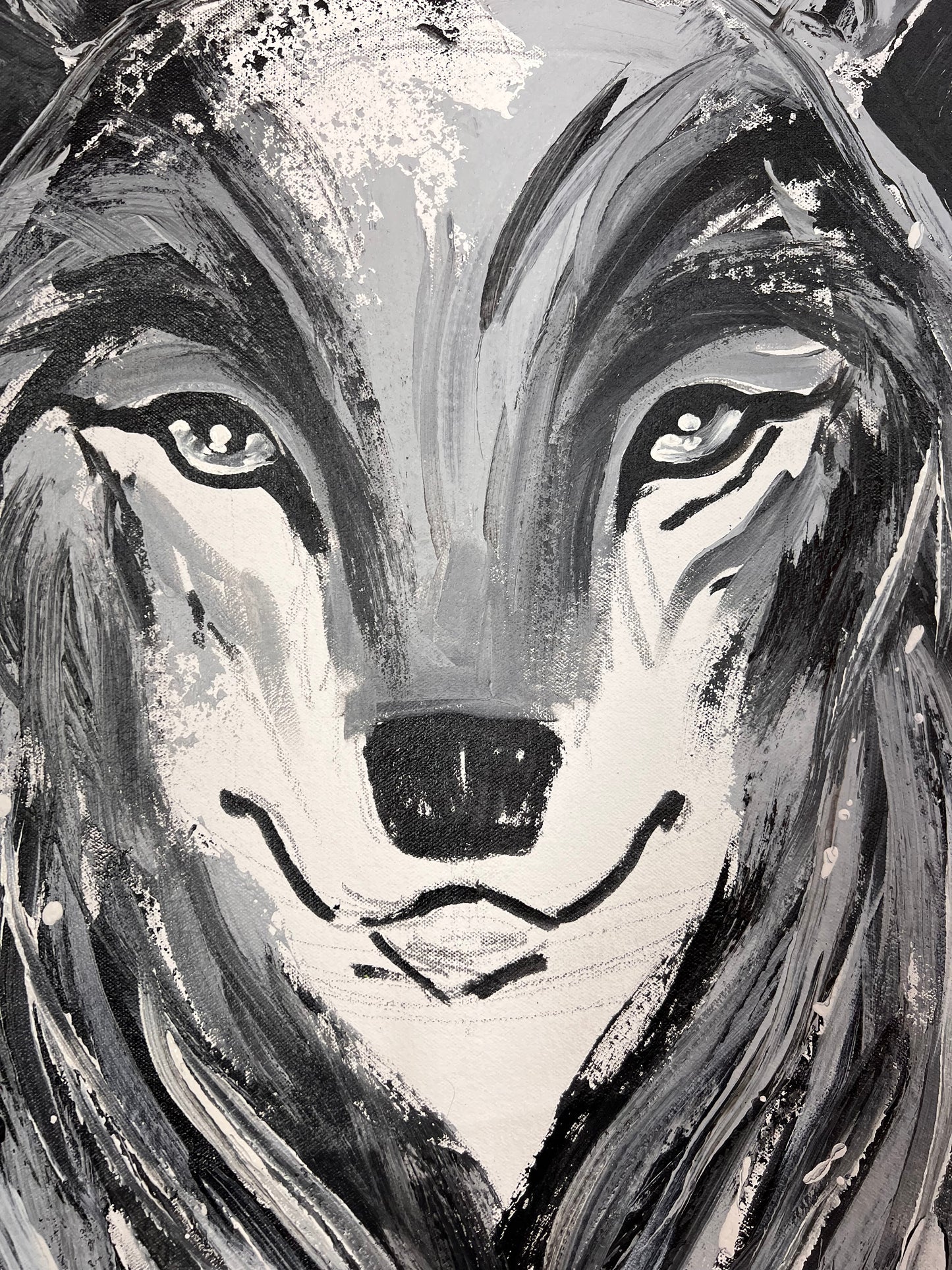 Black & White Wolf / Wednesday Refresh / August 2025