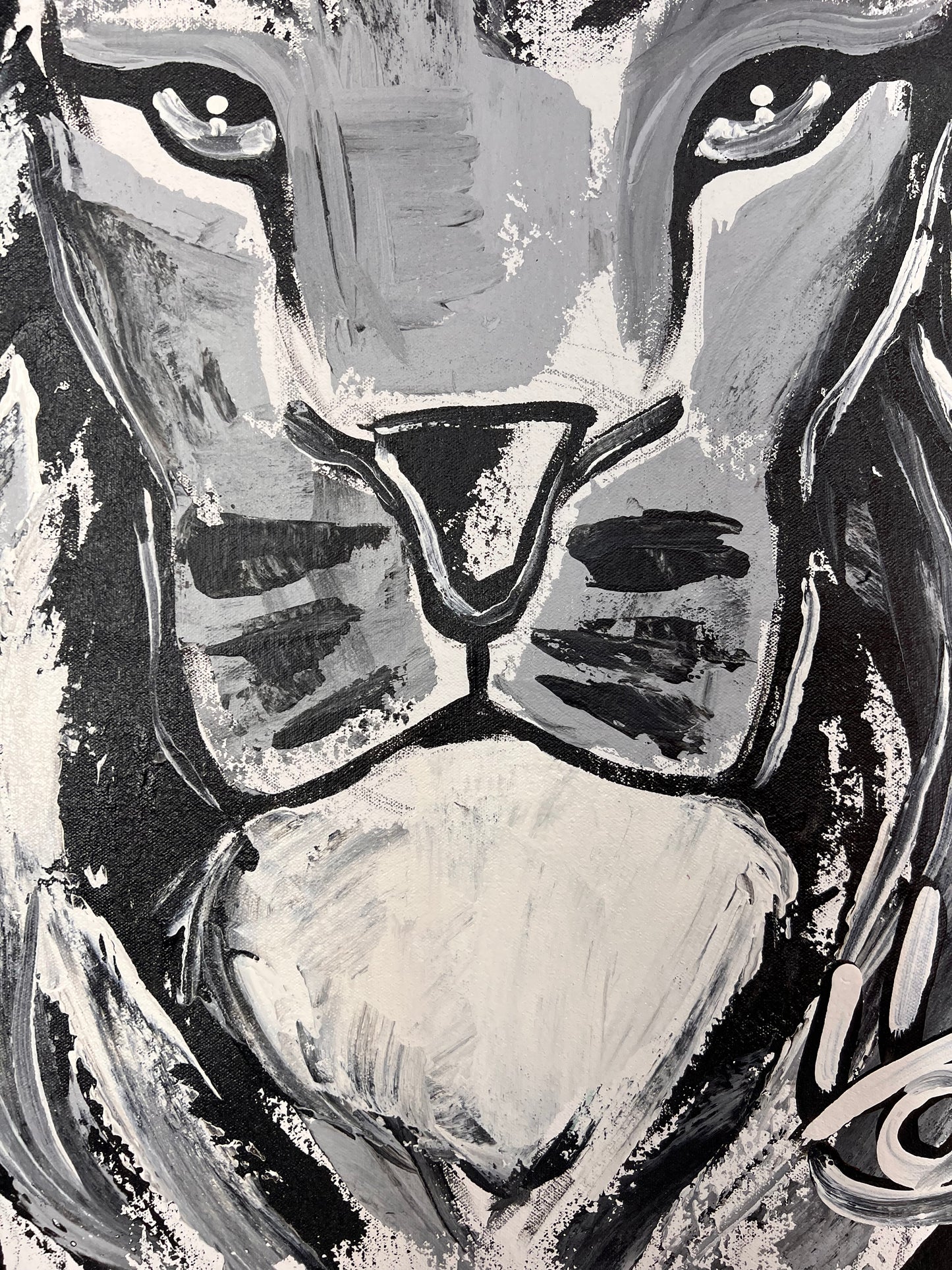 Black & White Lion / Wednesday Refresh / August 2025