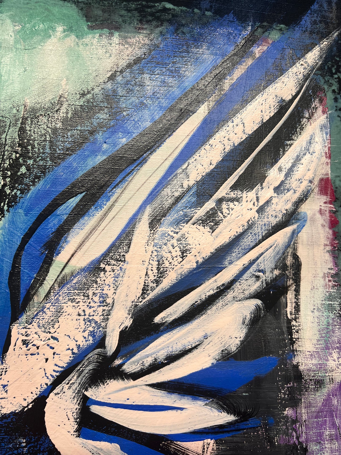 Bluebird Sketch 2 / February 2025