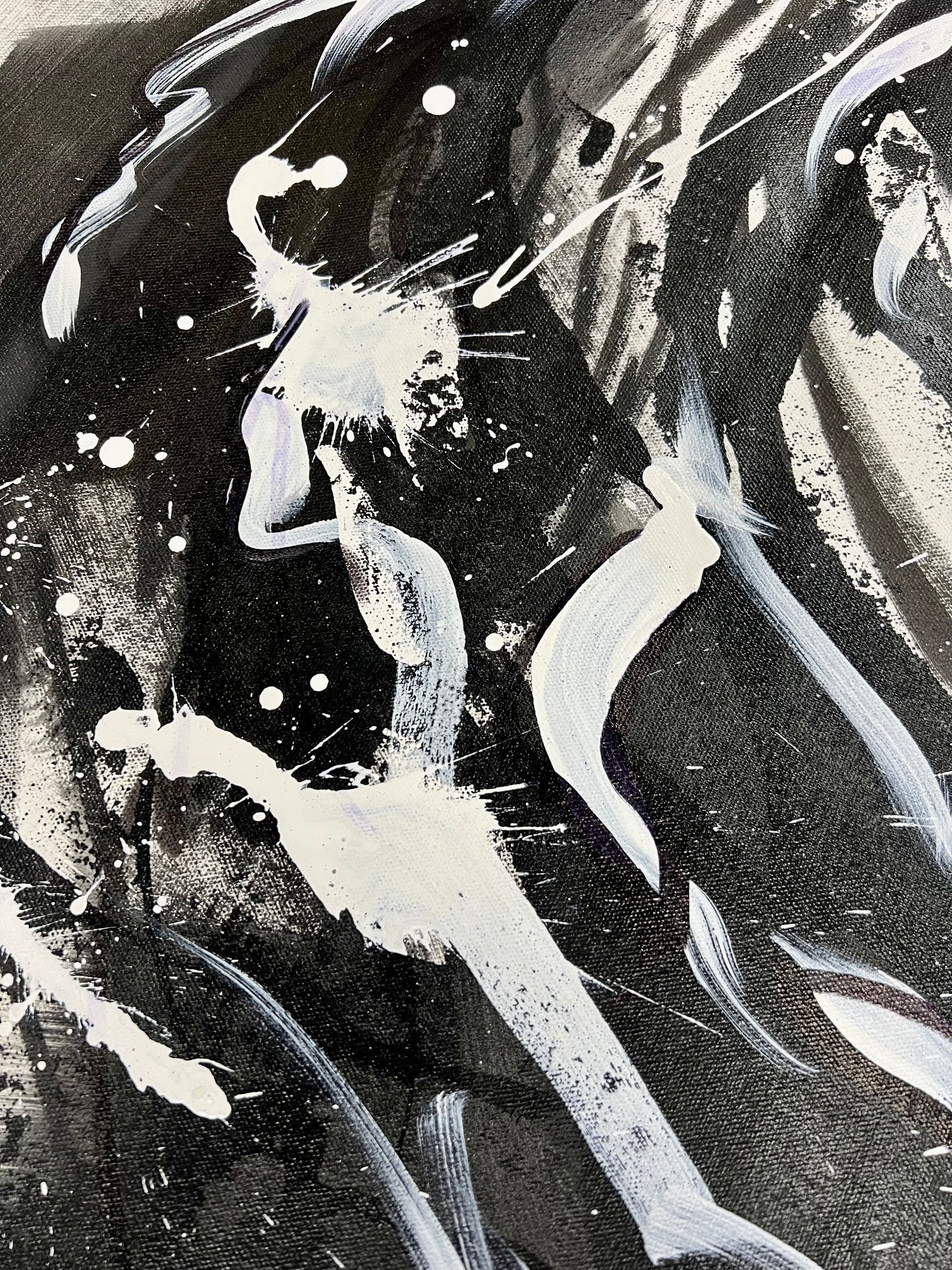 Black & White Owl / Winter 2024