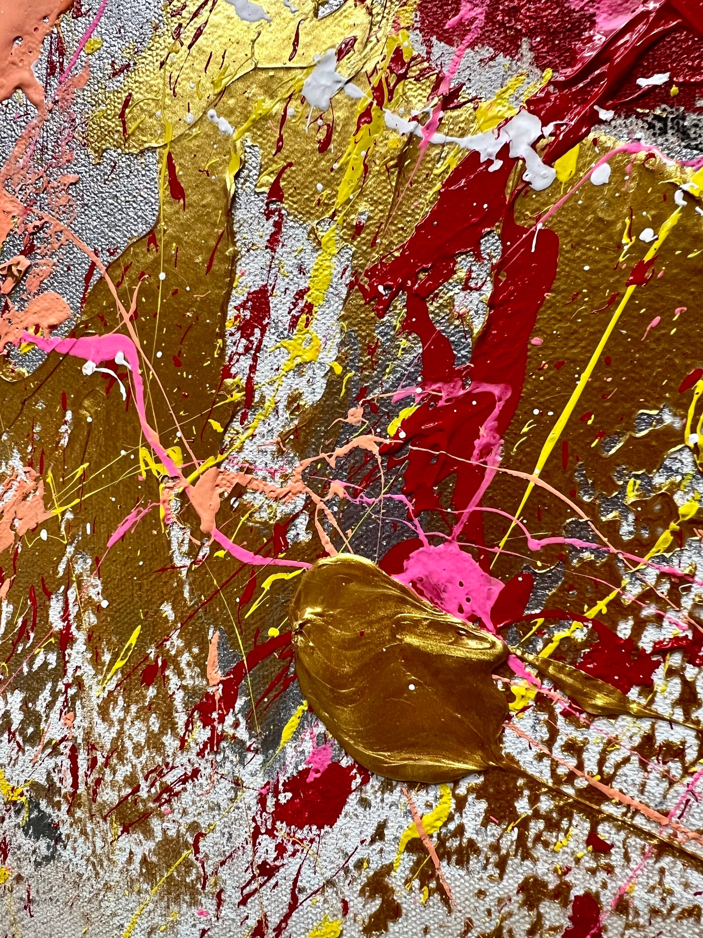 Rise Free / Flying Cardinal / November 2023