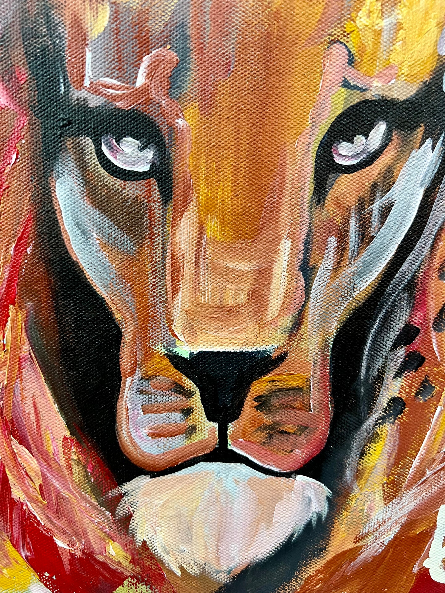 Eyes on It / Lion / November 2023