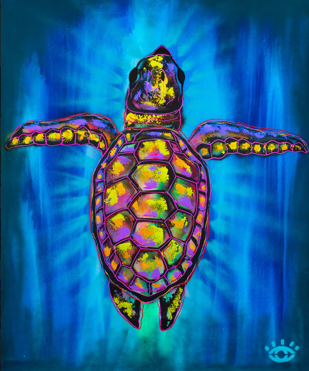 PRINT: You're Flying / Turtle
