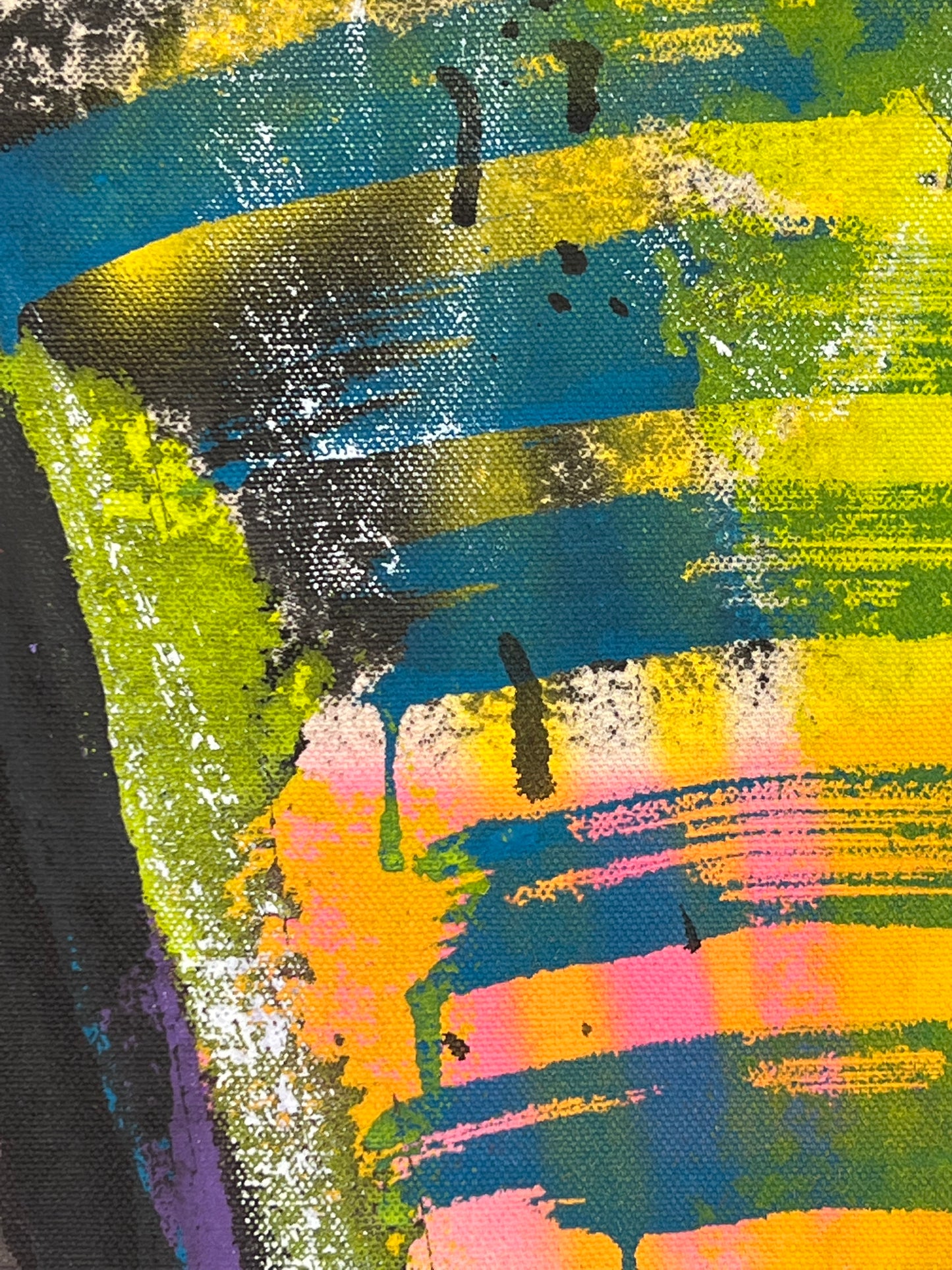 Vibrant Signature Elephant / Classic Throwback / Fall 2024