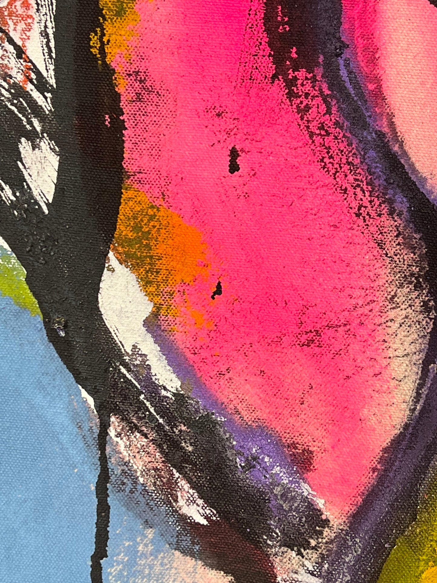 Vibrant Signature Elephant / Classic Throwback / Fall 2024