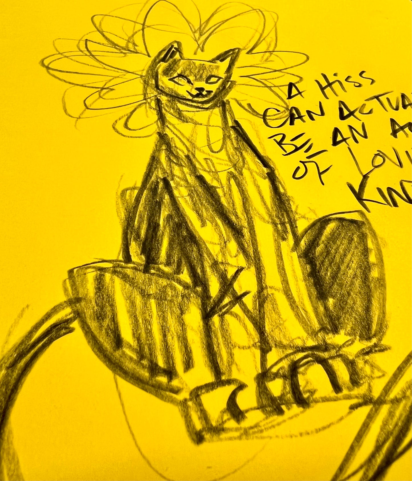 An Act of Loving Kindness / Charcoal Cat Sketch / Archival Paper / May 2025