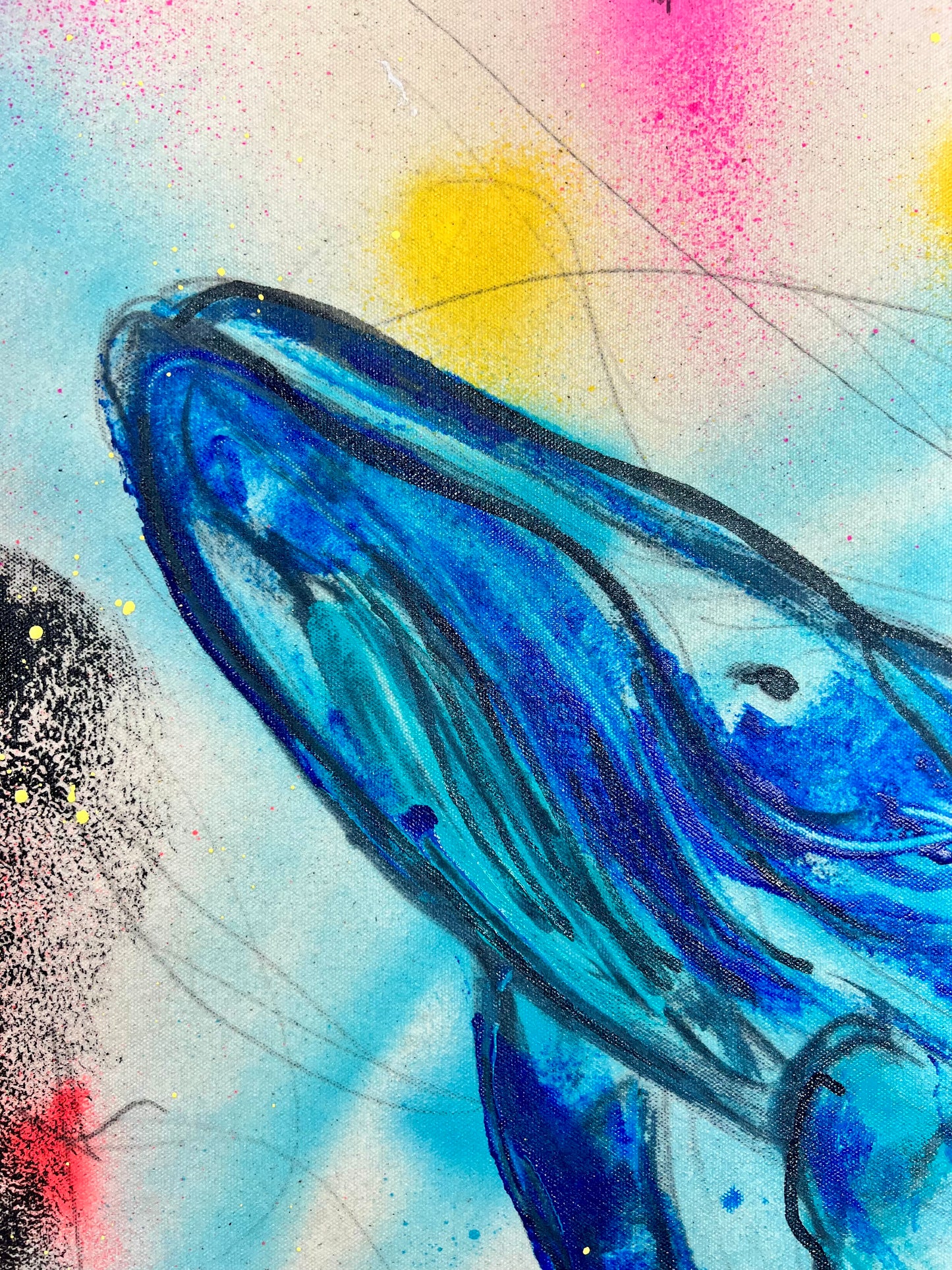 The Adventure Begins / Whimsical Whale / April 2026