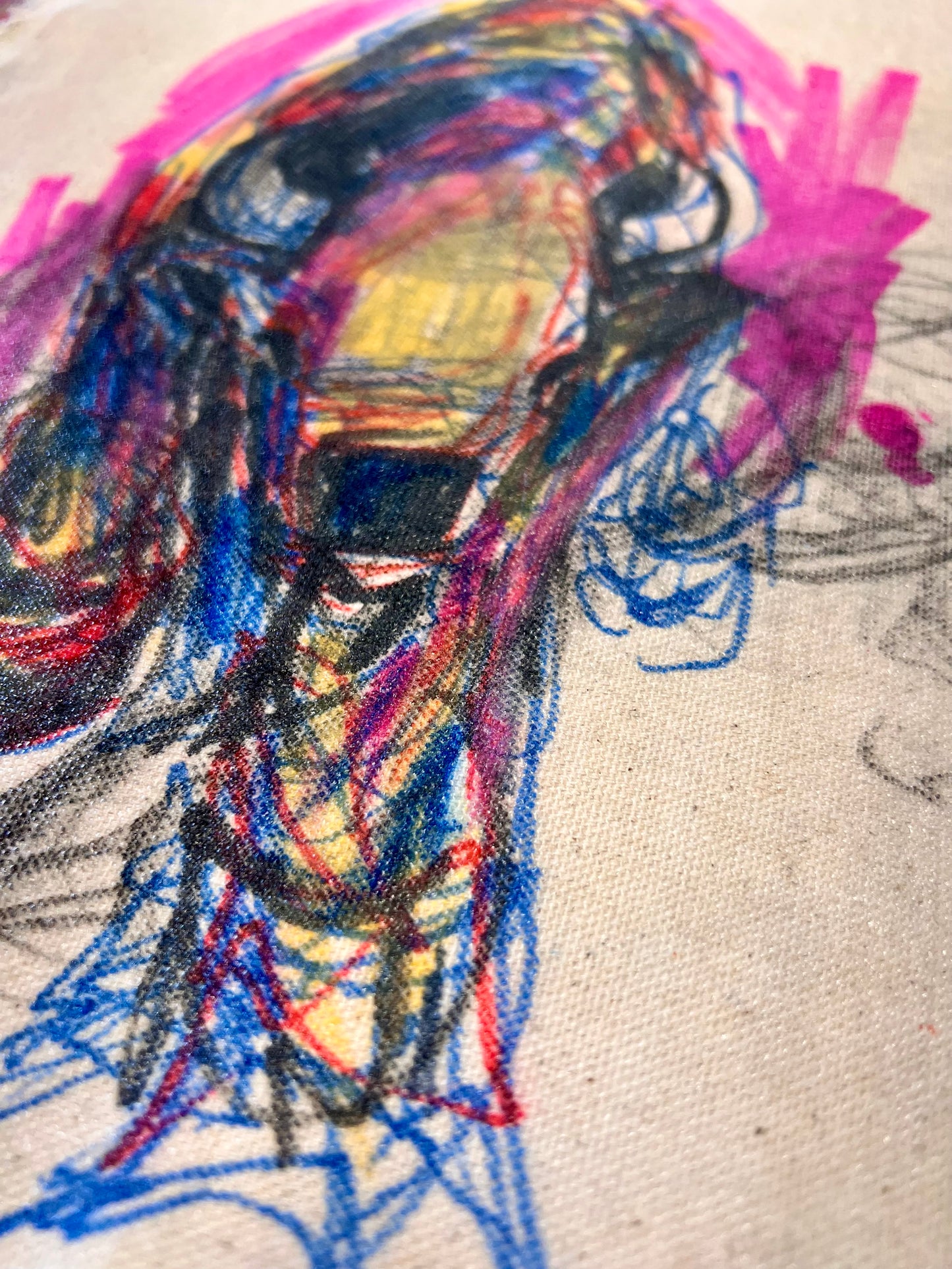 Breathe Home / Buffalo Sketch / Sunday Collection / September 2025