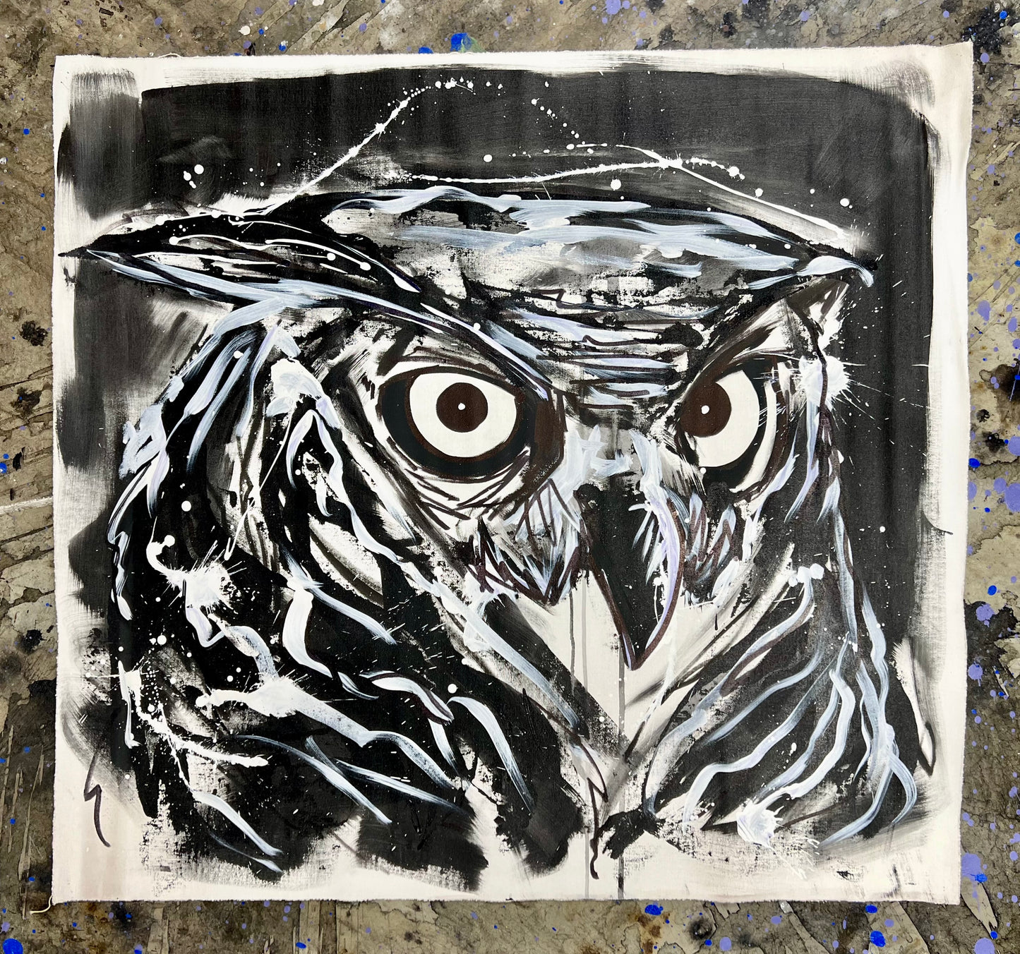 Black & White Owl / Winter 2024