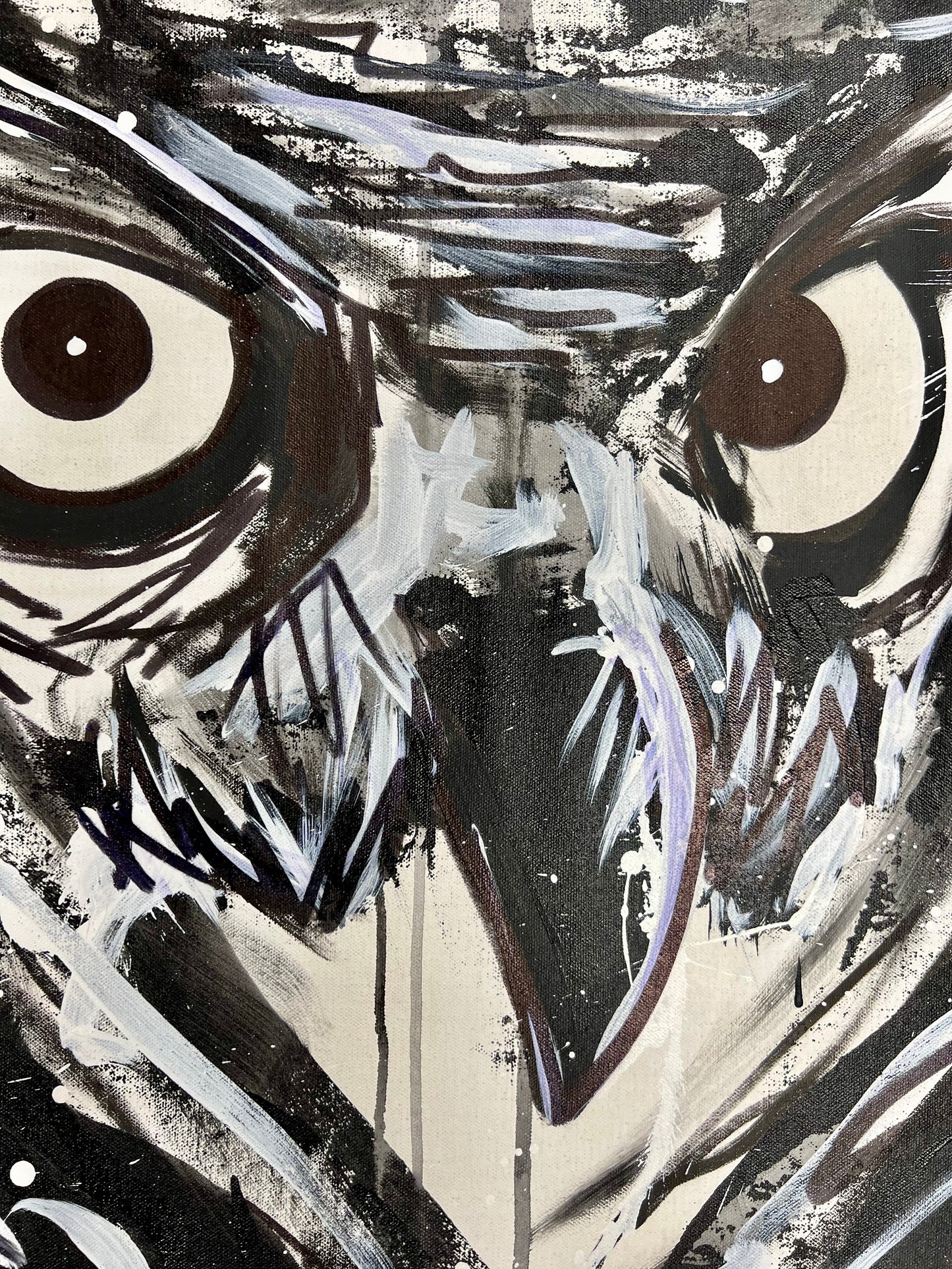 Black & White Owl / Winter 2024