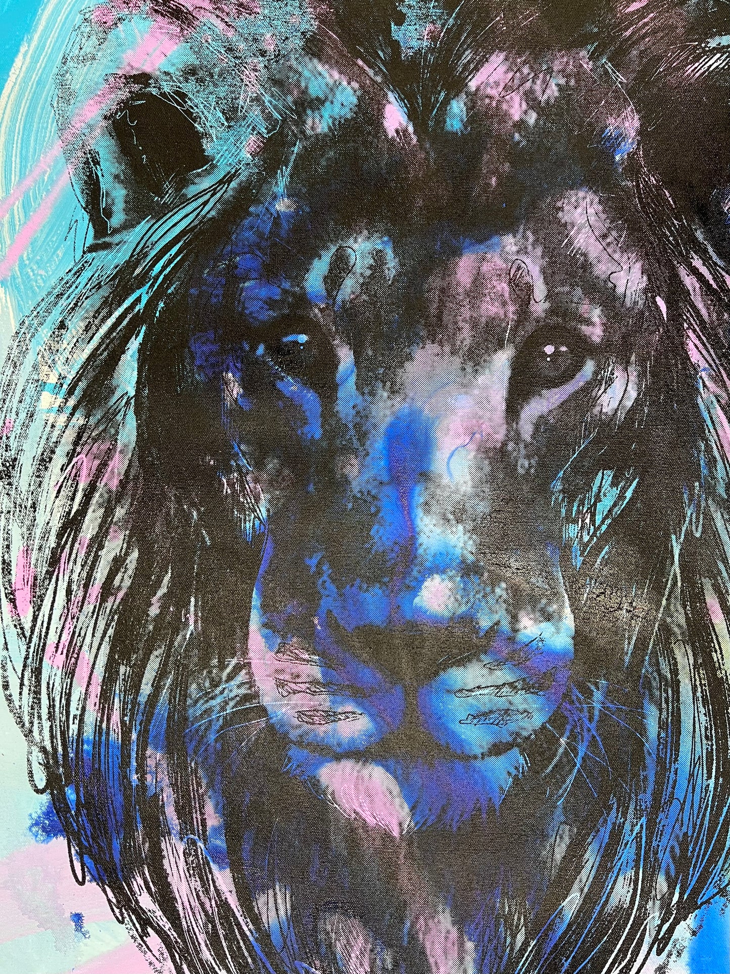 Amazing Things / Blue, Pink & Yellow / Colorwash Classic Lion / Fall 2024