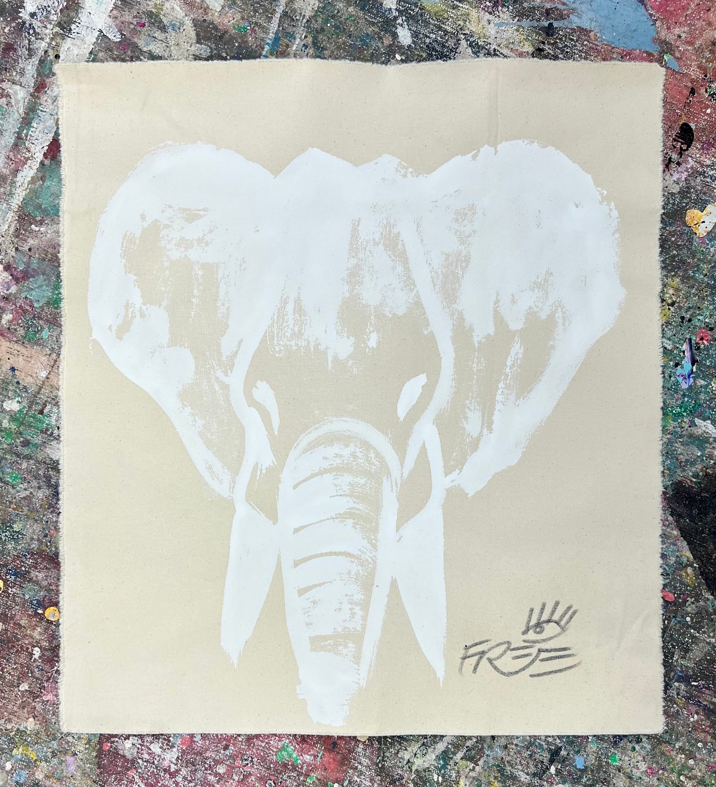 Walk Slow / Minimalist Elephant / Wednesday Refresh / February 2026