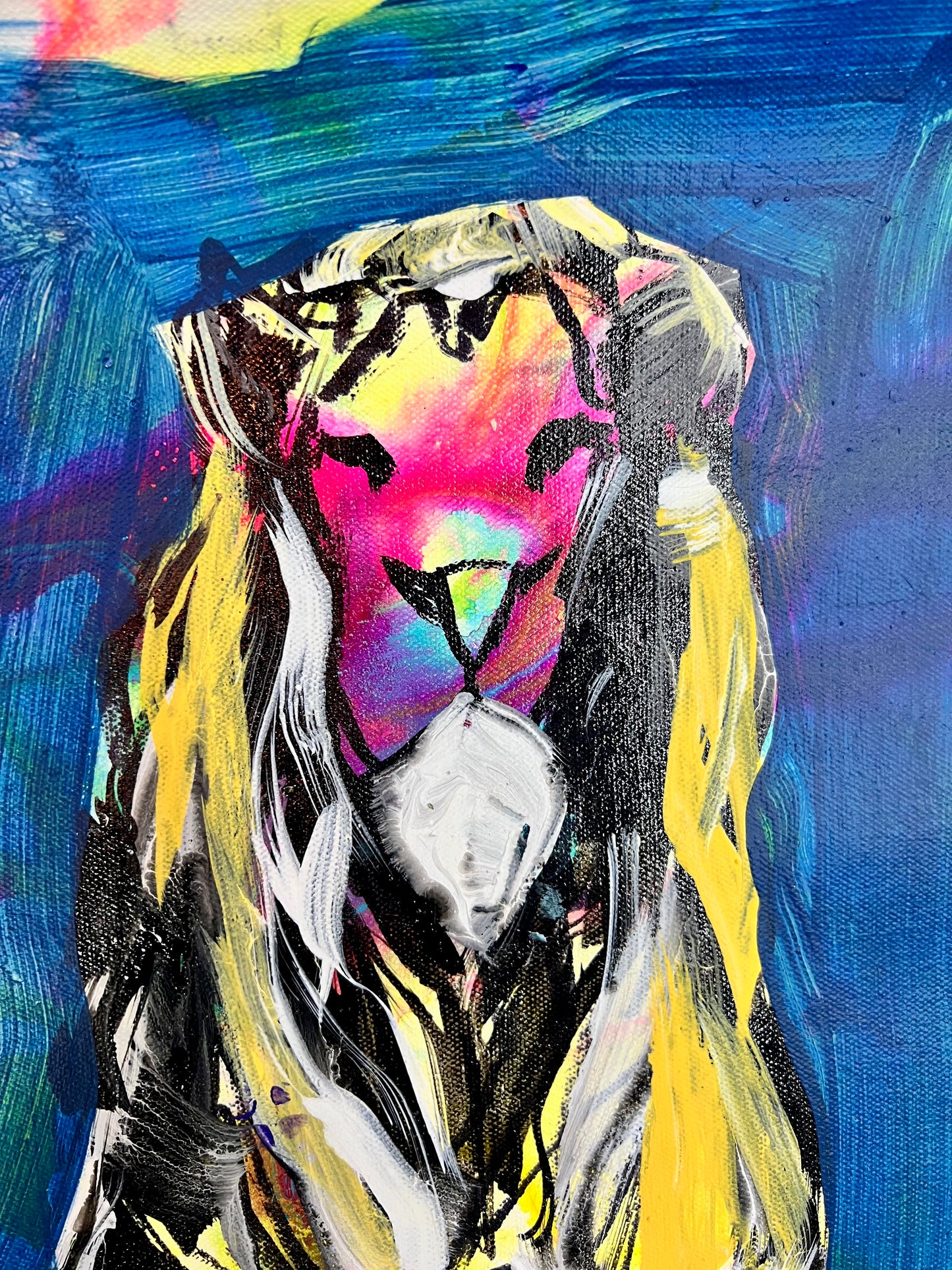 Pace Poised / Lion / Wednesday Refresh / February 2026