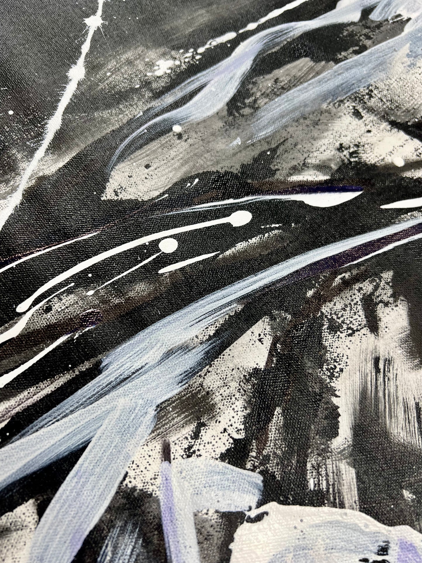Black & White Owl / Winter 2024