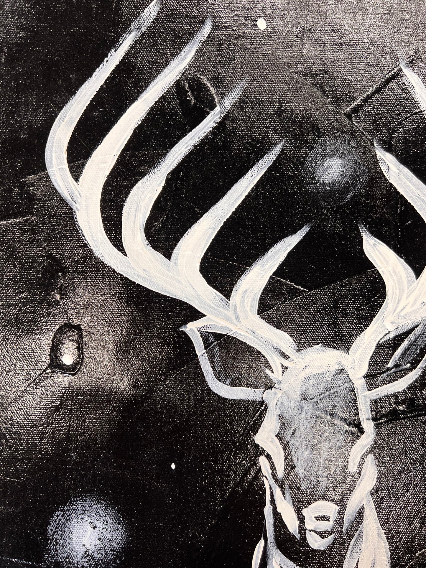 Amazing Things / Black & White Stag / Wednesday Refresh / September 2025