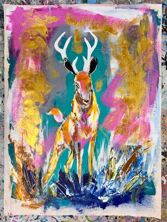 Wanna Go On An Adventure? / Stag / Sunday Collection / September 2025