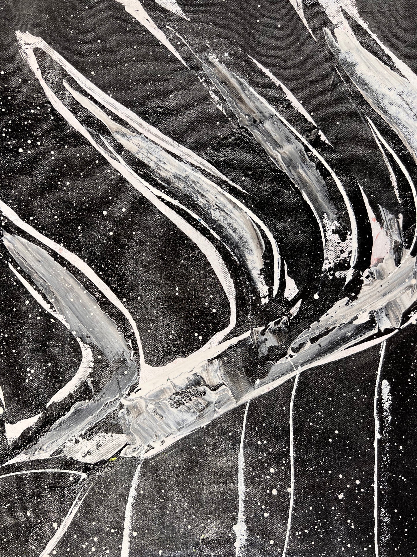 Dance With Purpose / Black & White Stag / Wednesday Refresh / August 2025