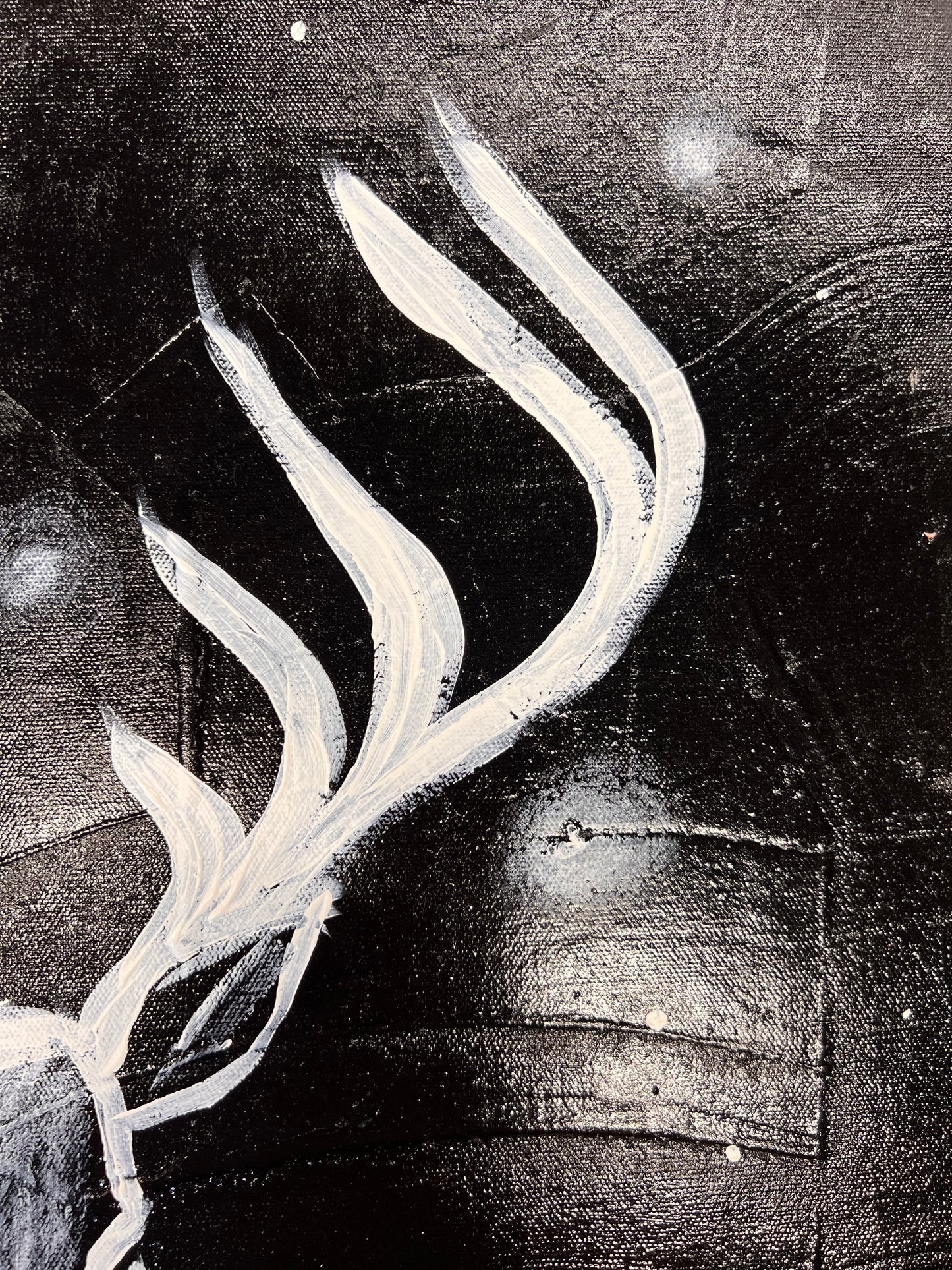 Amazing Things / Black & White Stag / Wednesday Refresh / September 2025