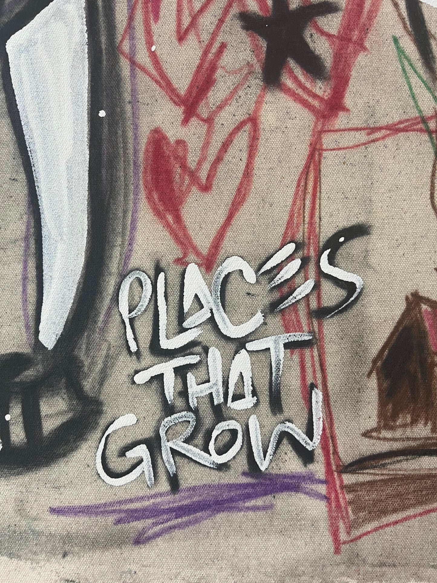 Places That Grow / Charcoal Sketch / Sunday Collection / January 2026