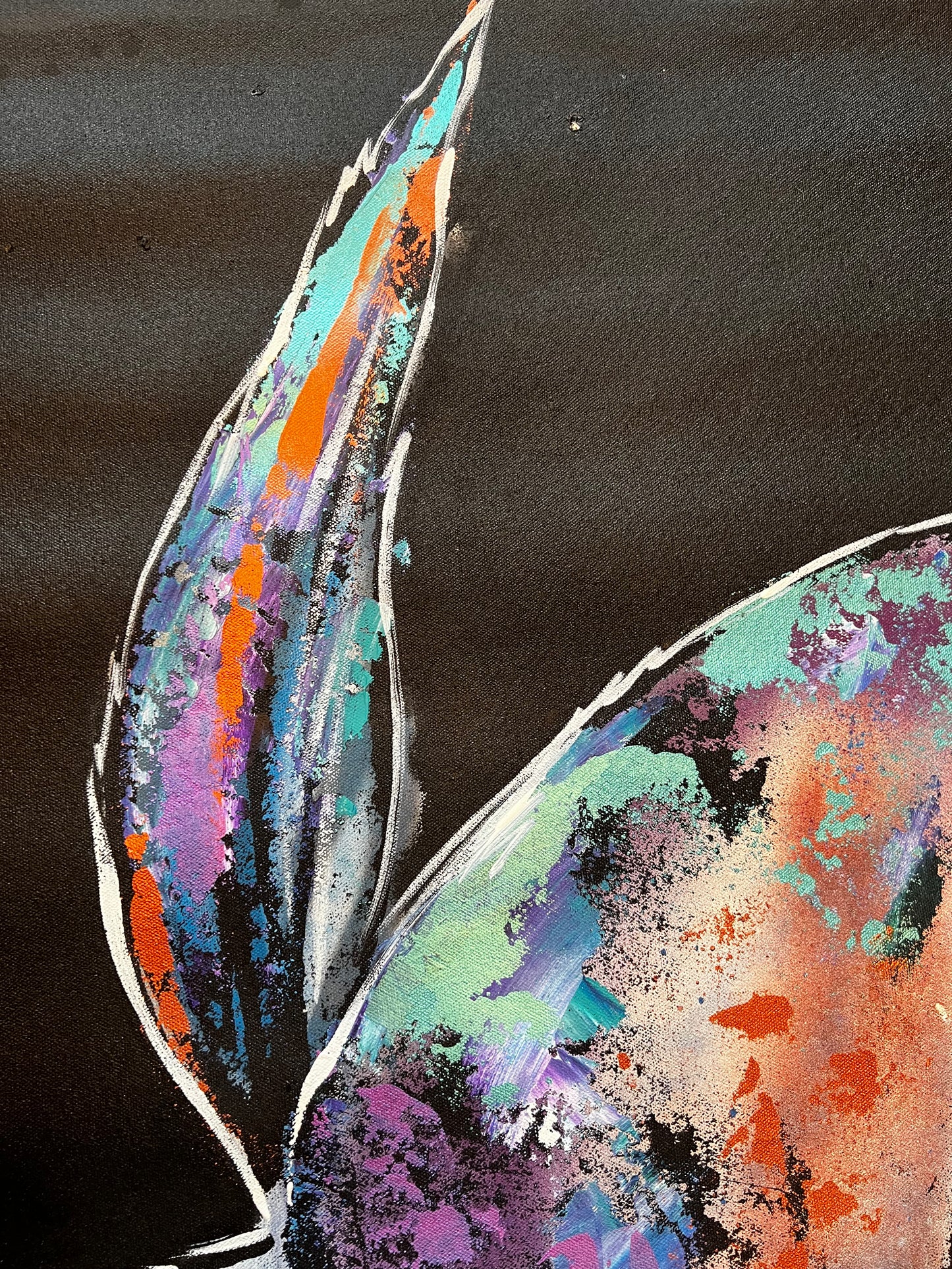 How to See / Throwback Owl / Farewell 2025 Collection