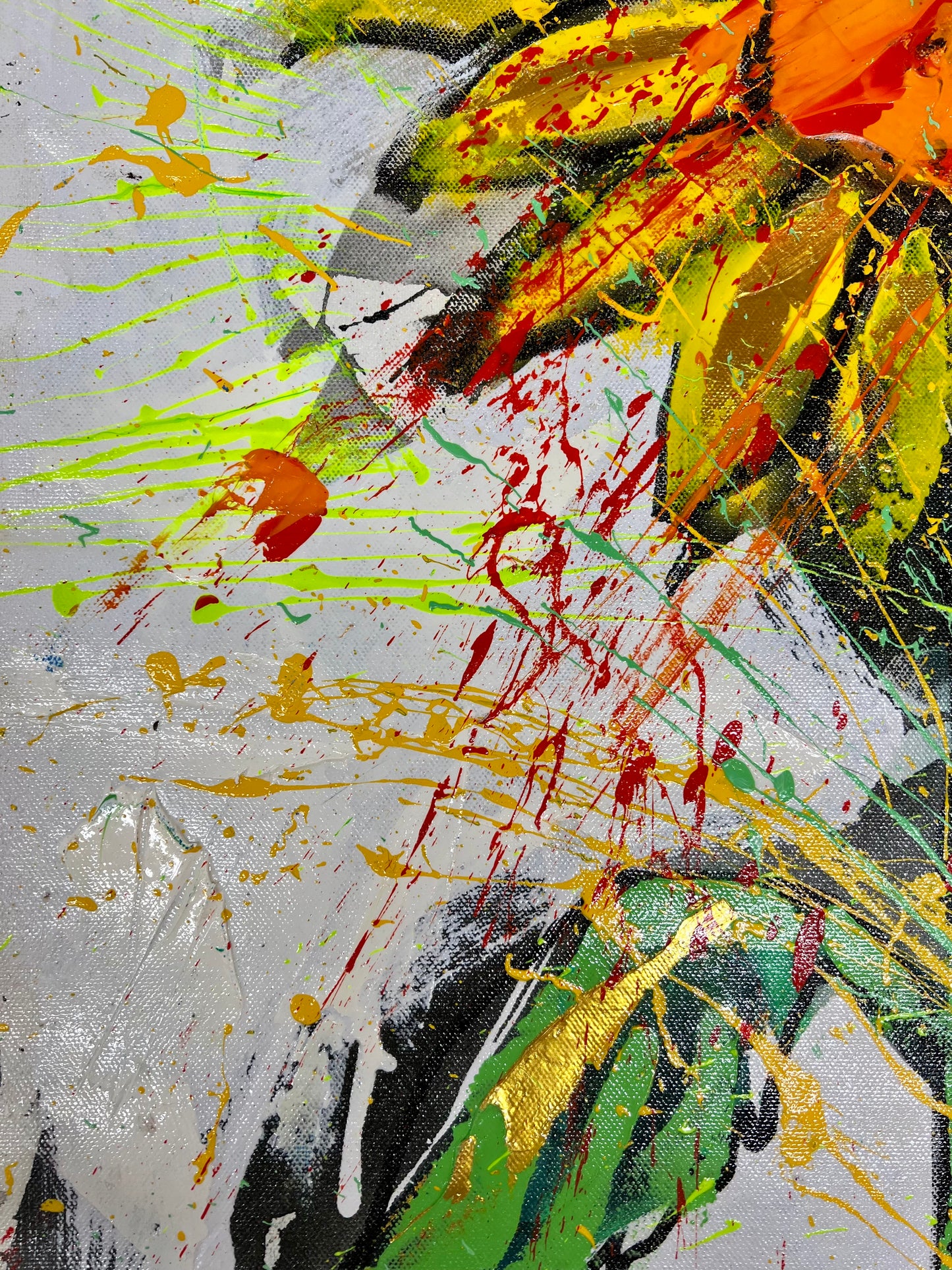 The Source of Light / Sunflower / Wednesday Refresh / February 2026