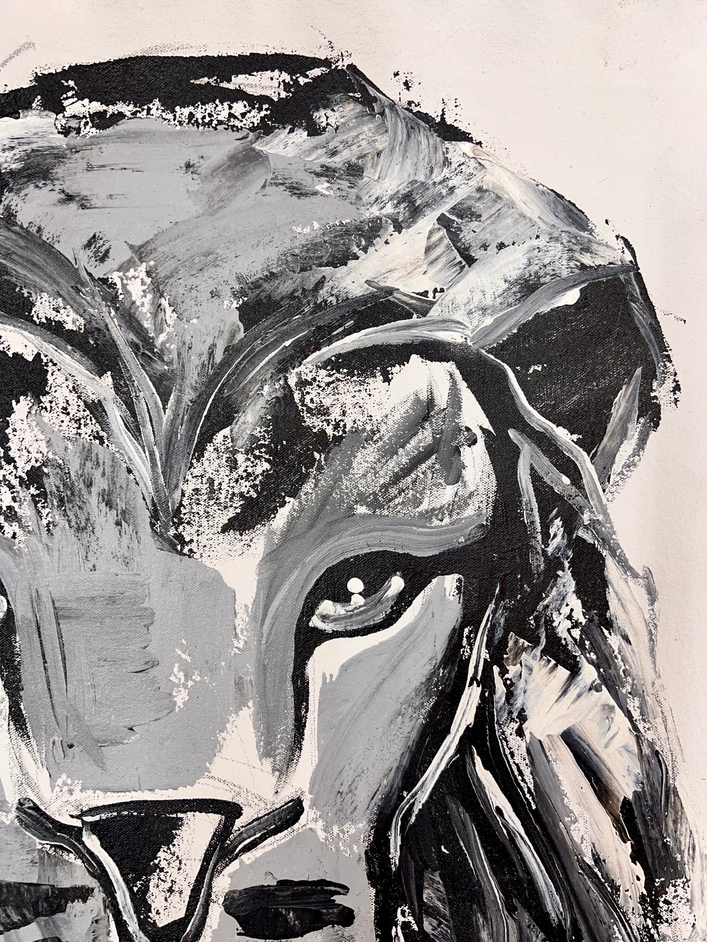 Black & White Lion / Wednesday Refresh / August 2025