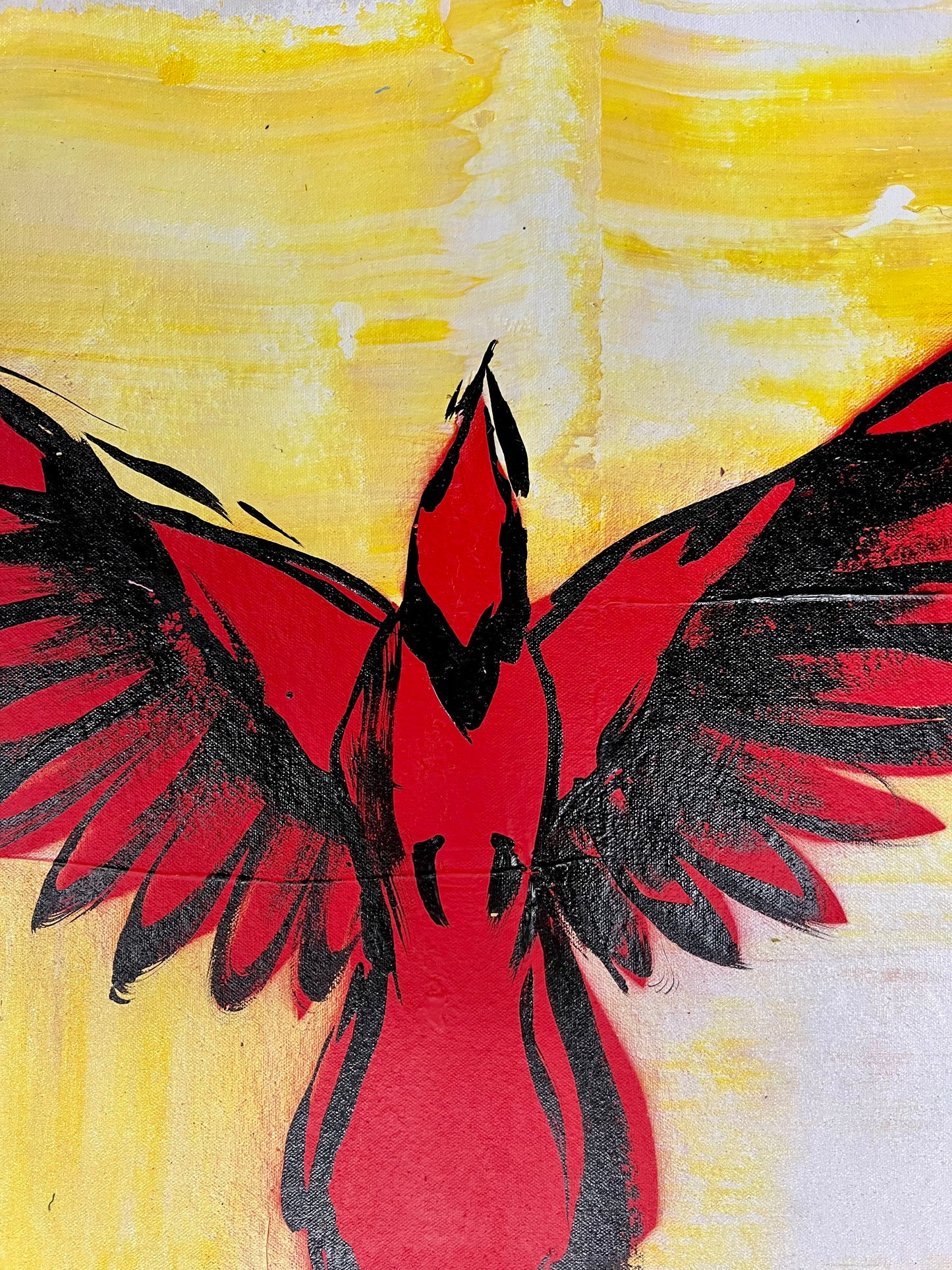 Amazing and Free / Cardinal Sketch / Wednesday Refresh / February 2026