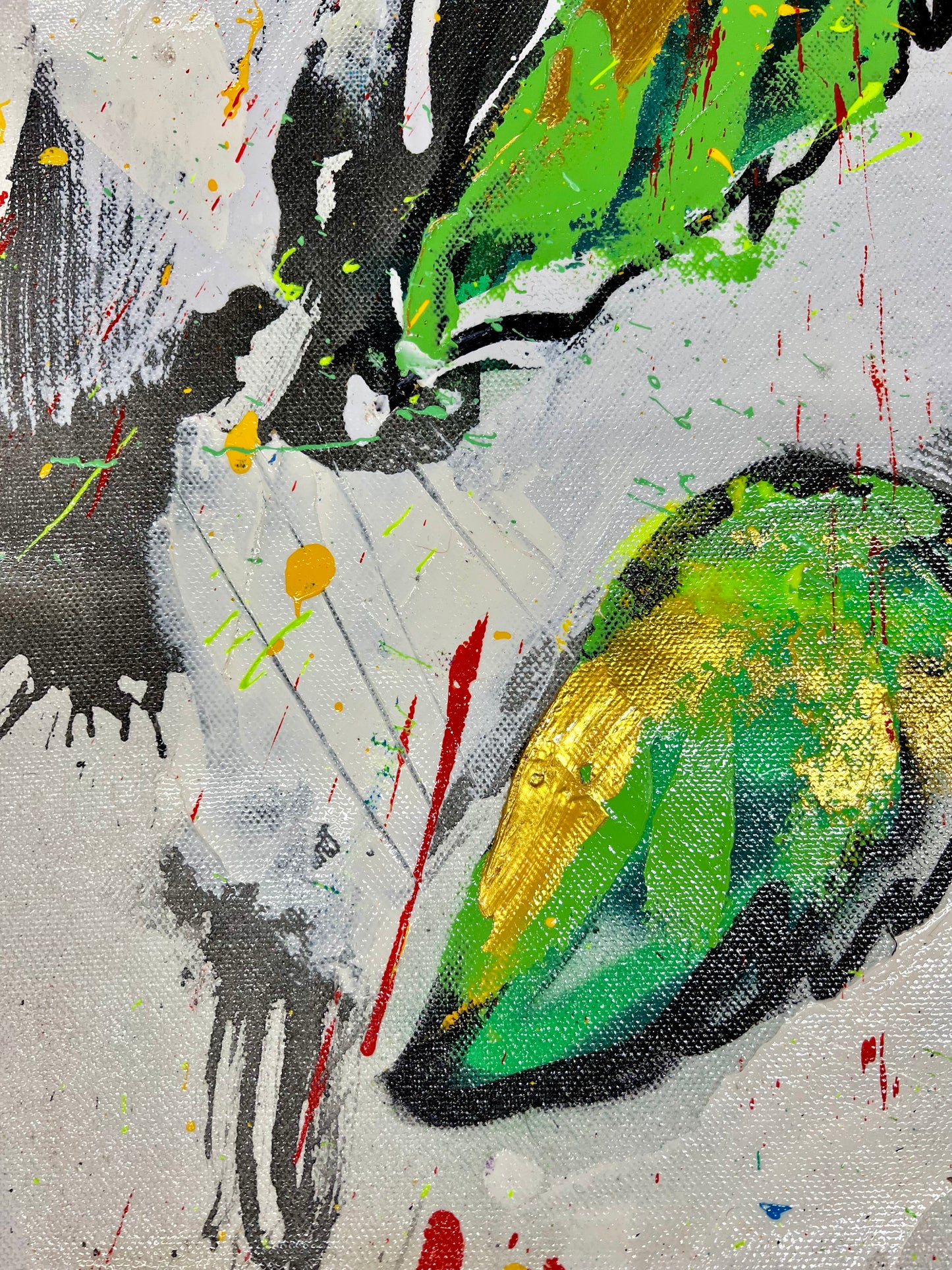 The Source of Light / Sunflower / Wednesday Refresh / February 2026