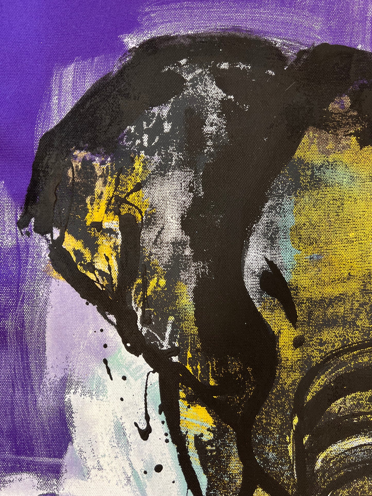 Amazing Things / Screen Print Elephant / Sunday Collection / September 2025