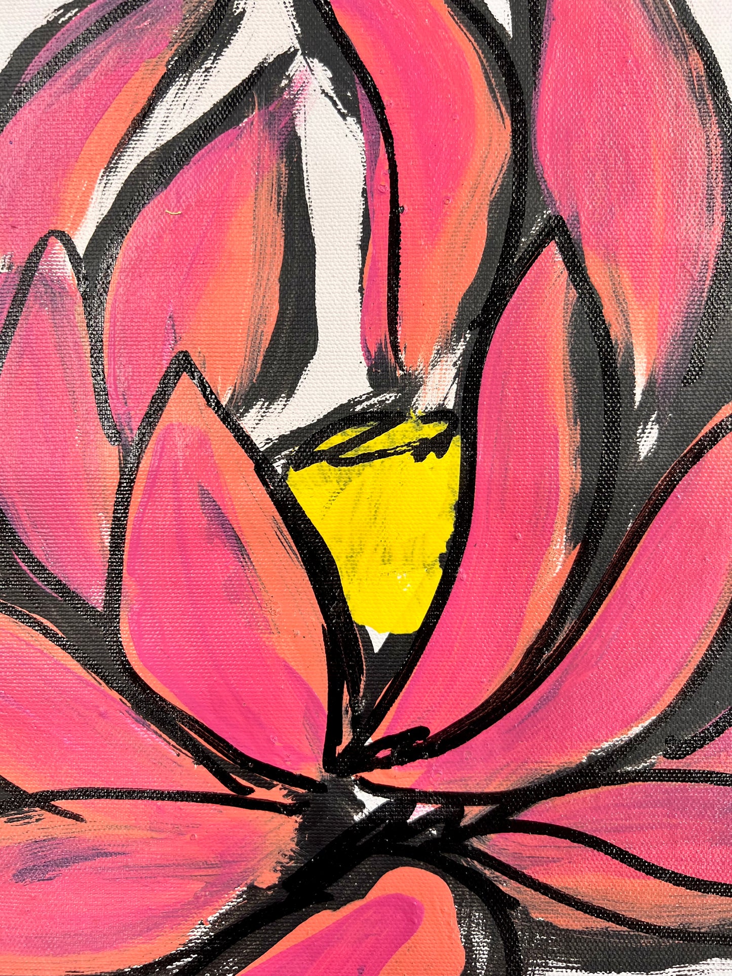 Lotus Sketch / Wednesday Refresh / August 2025