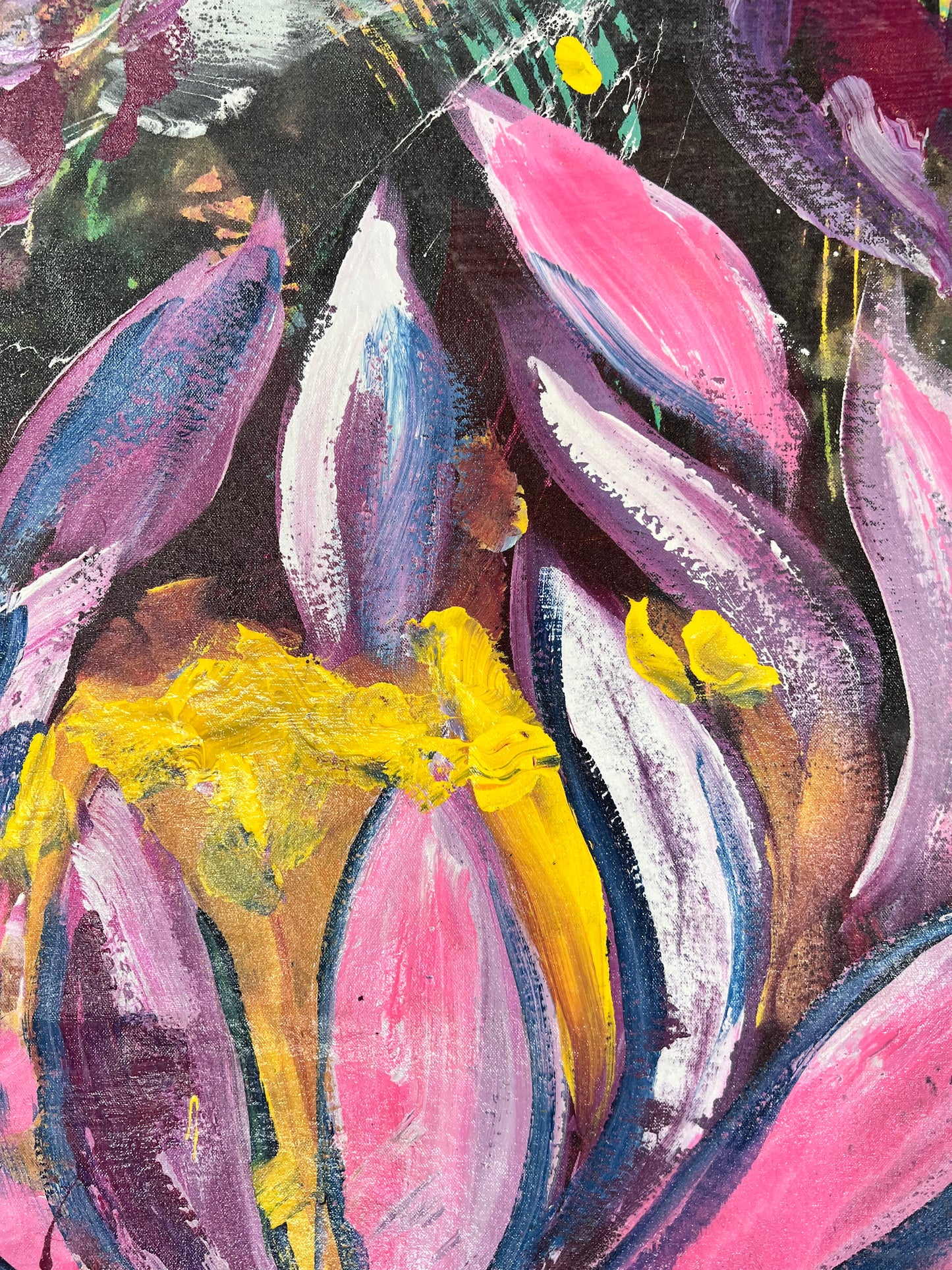 Honoring + Embracing Friendship / Lotus / March 2026