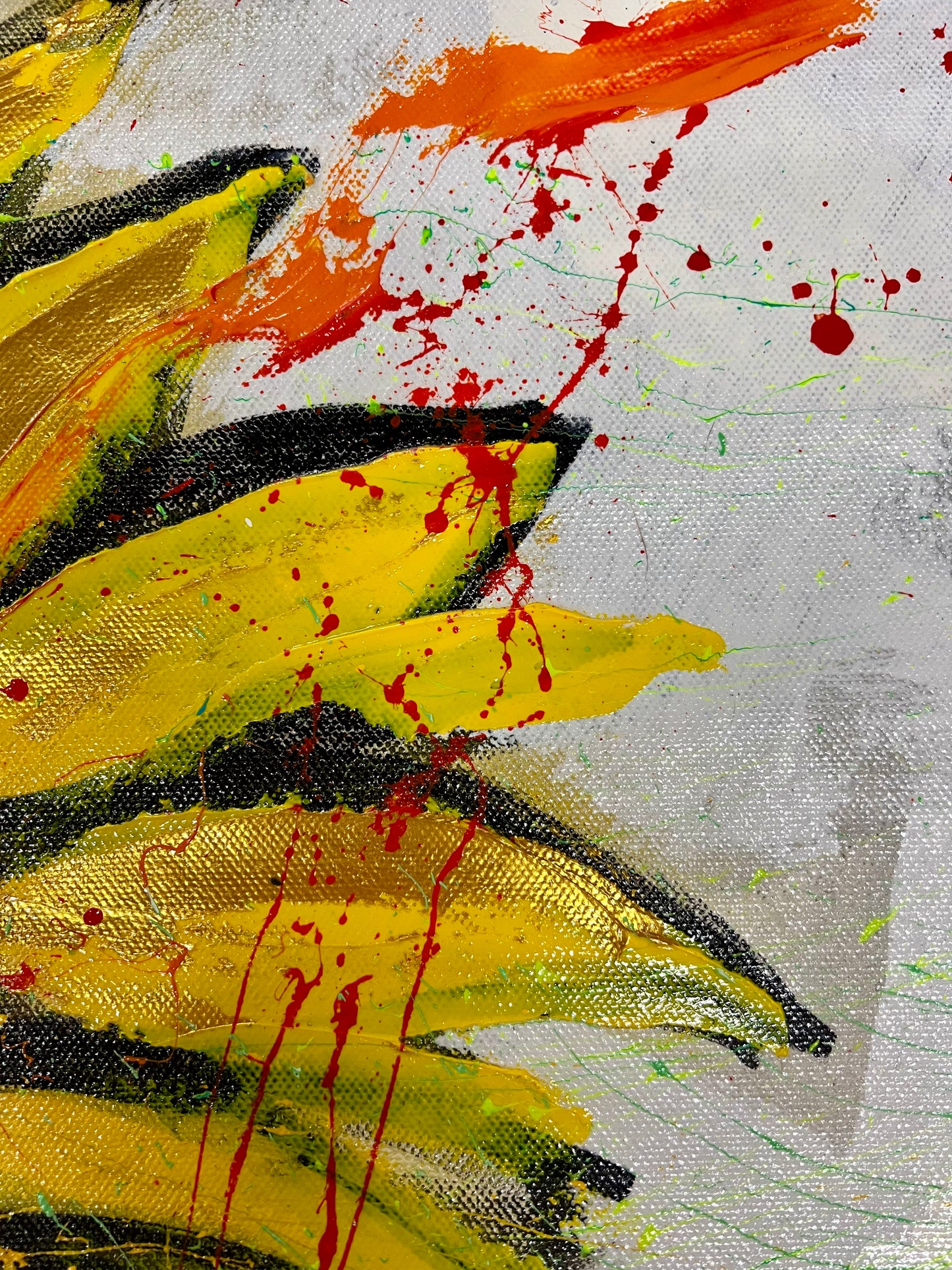 The Source of Light / Sunflower / Wednesday Refresh / February 2026