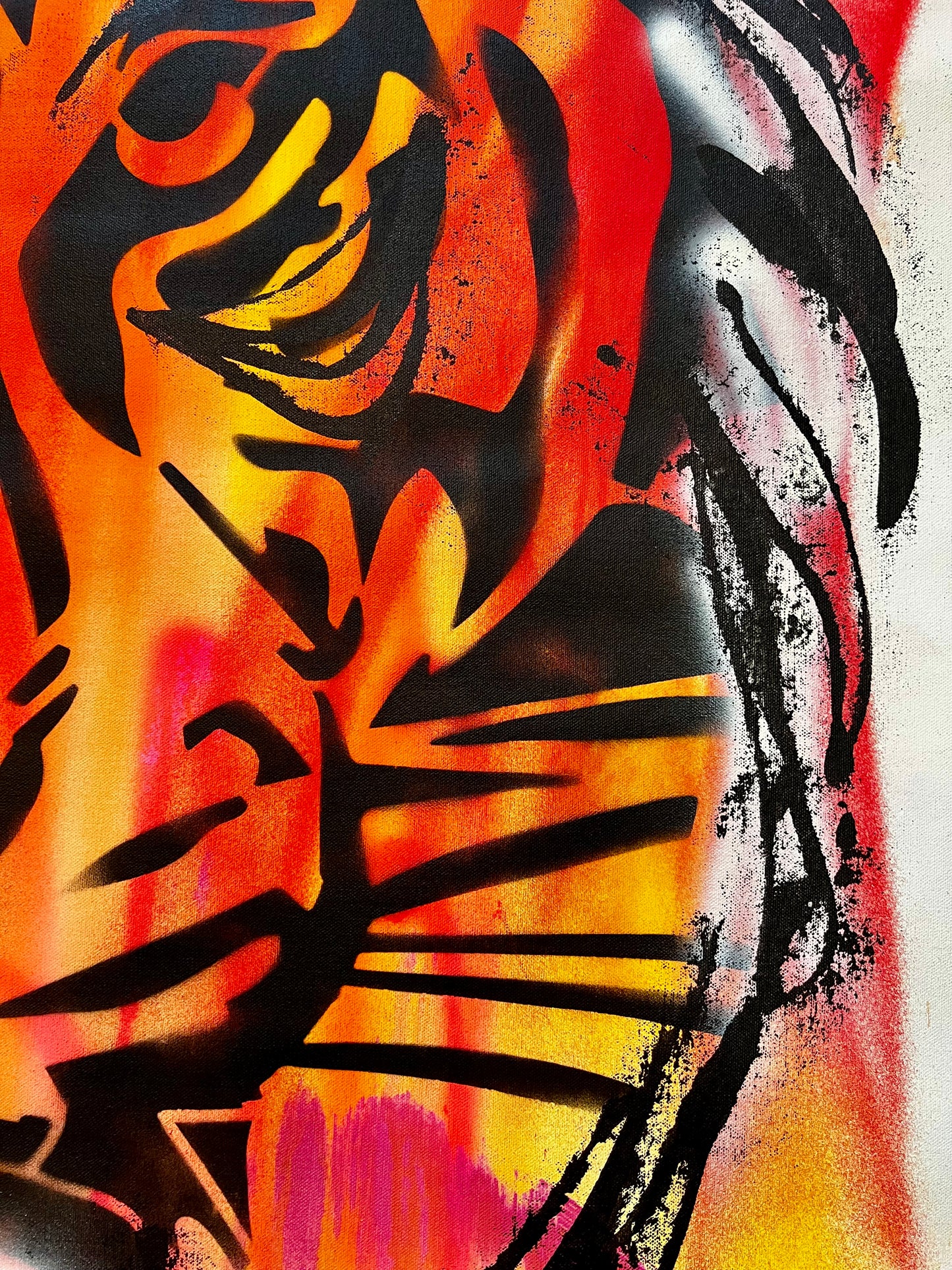 Eyes On It / Throwback Spray Paint Tiger  / Farewell 2025 Collection
