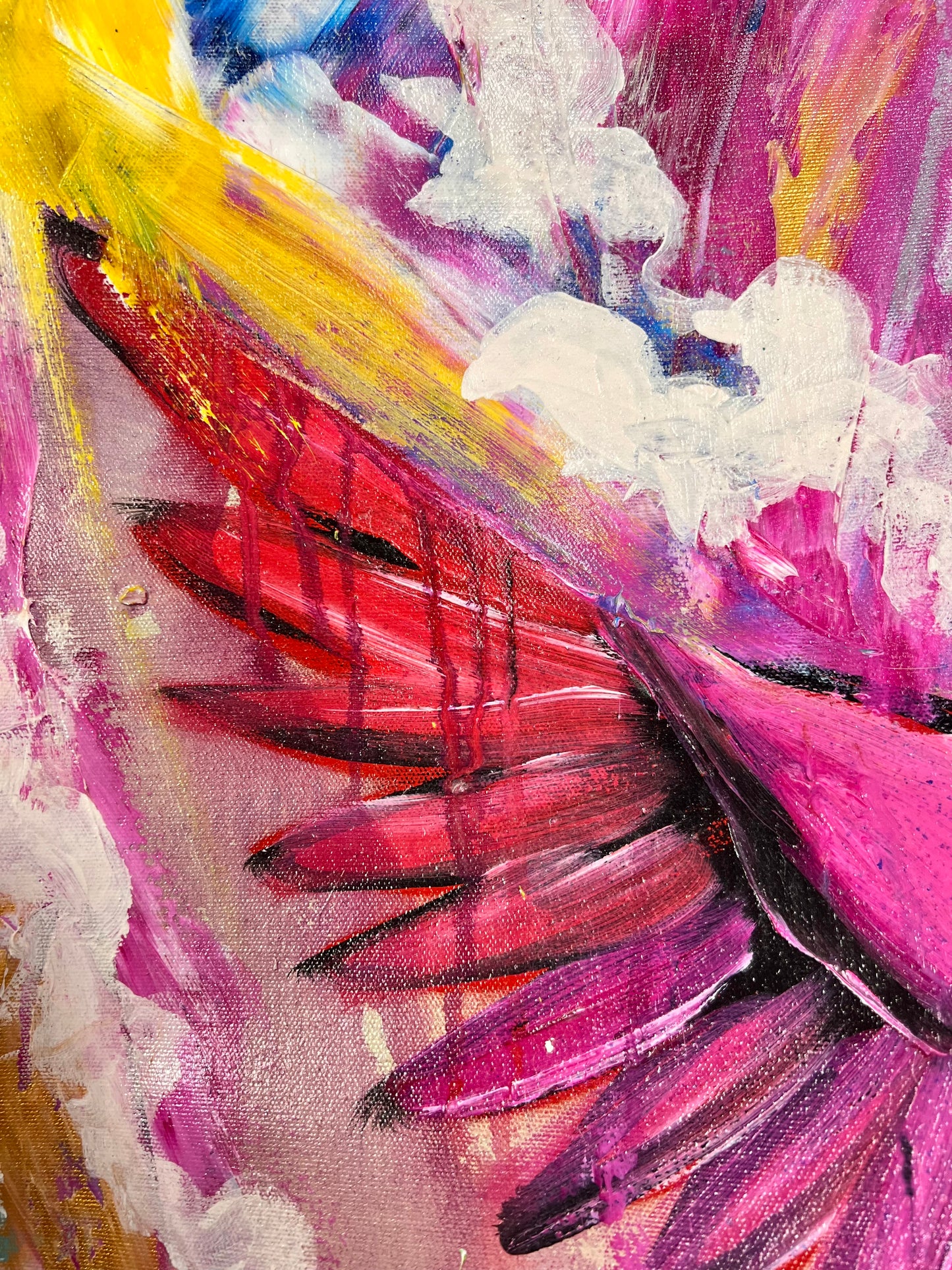 Beautiful and Free / Cardinal / Sunday Collection / November 2025