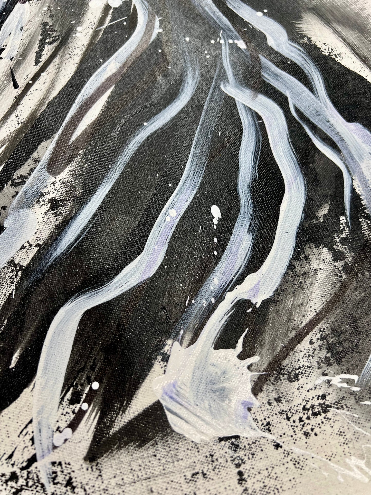 Black & White Owl / Winter 2024
