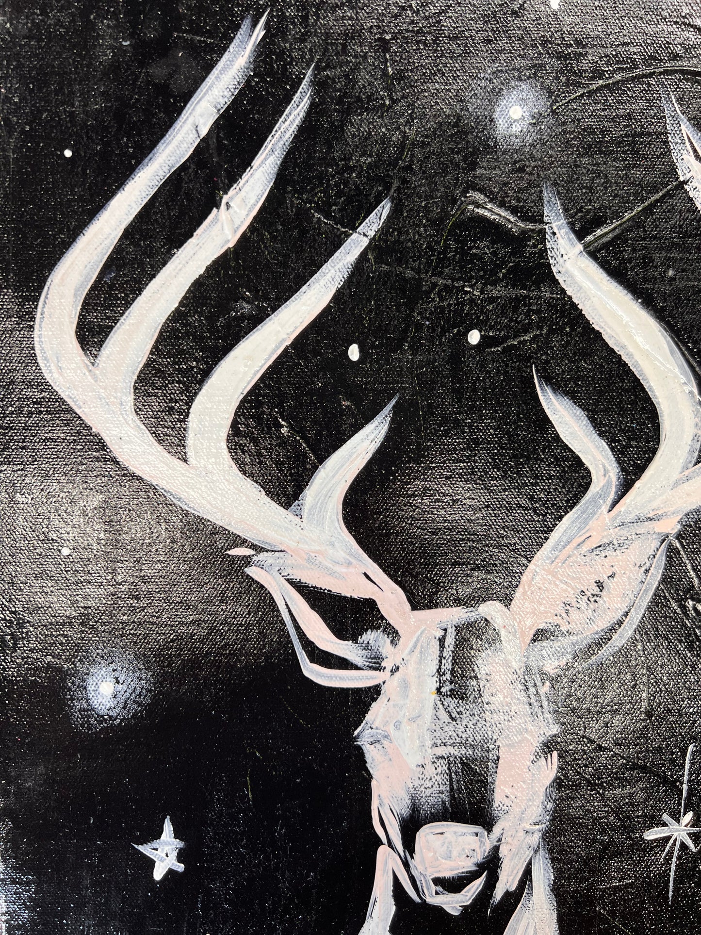 Beautiful and Free / Black & White Stag / Wednesday Refresh / September 2025
